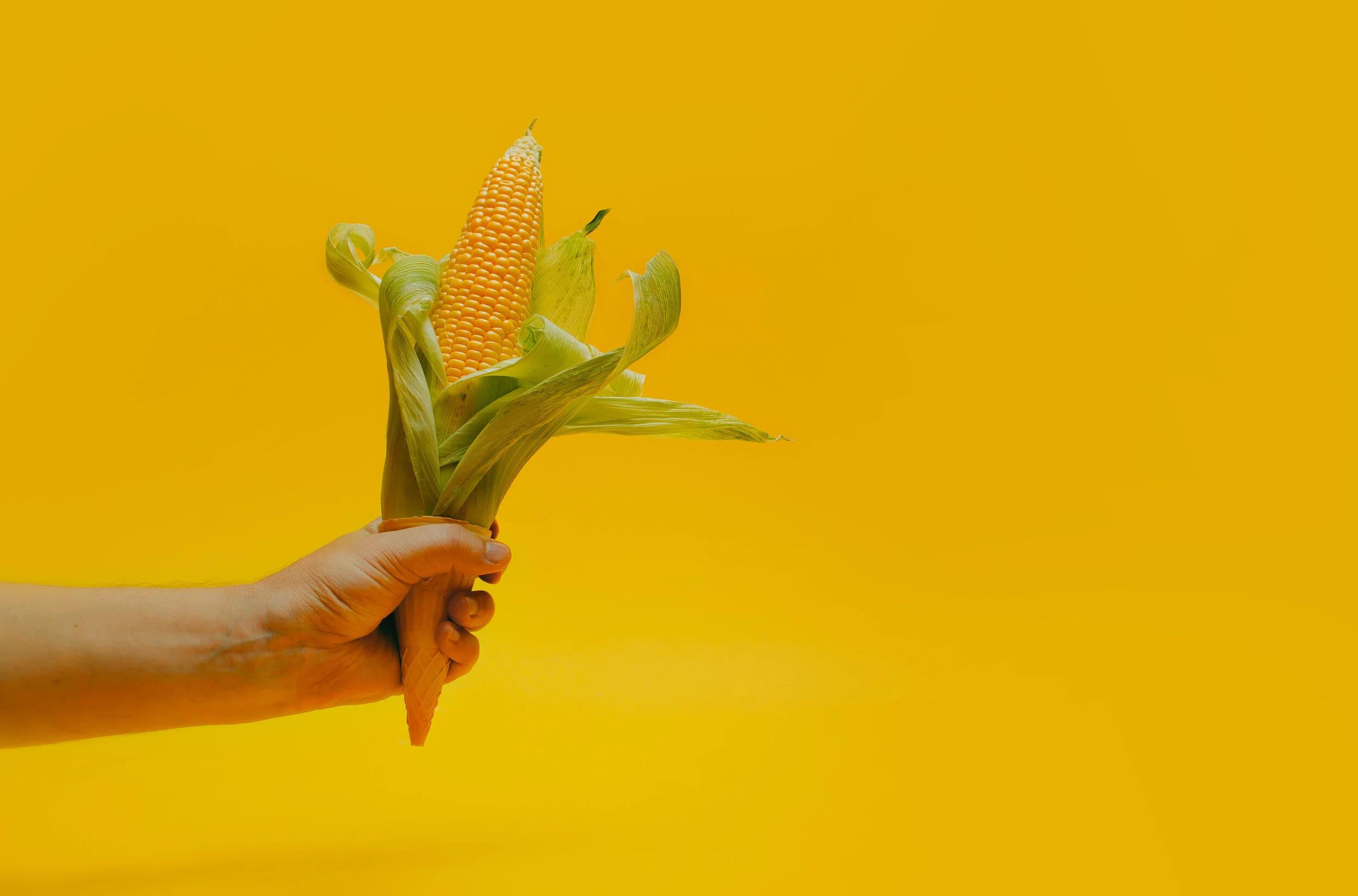 AdobeStock_289392320.jpeg