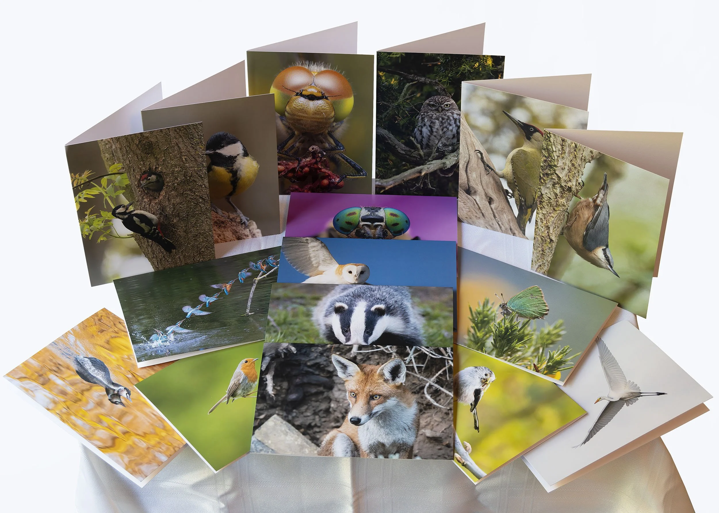 Greetings Cards