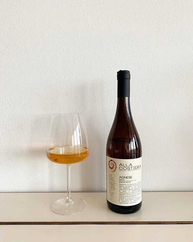 Being &bdquo;off wine&ldquo; for a couple of months due to a medical condition was more than a burden for 1 of our 4 svn ladies. Restarting the journey with this jewel was the best wine-come-back: Fillipo Gamba&lsquo;s 100% Moscato bianco, fermented 