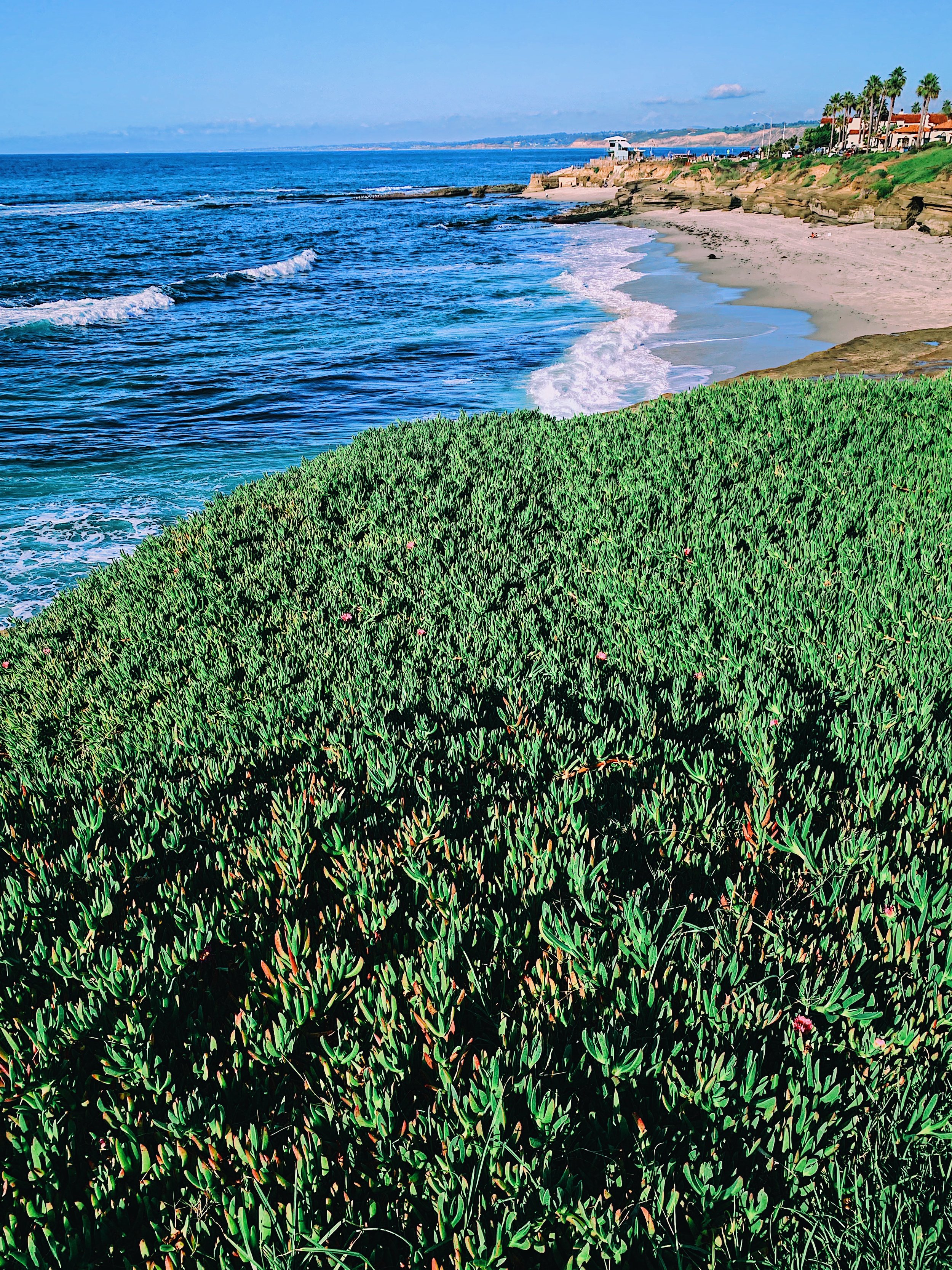 LHQ-SanDiego-California.jpg