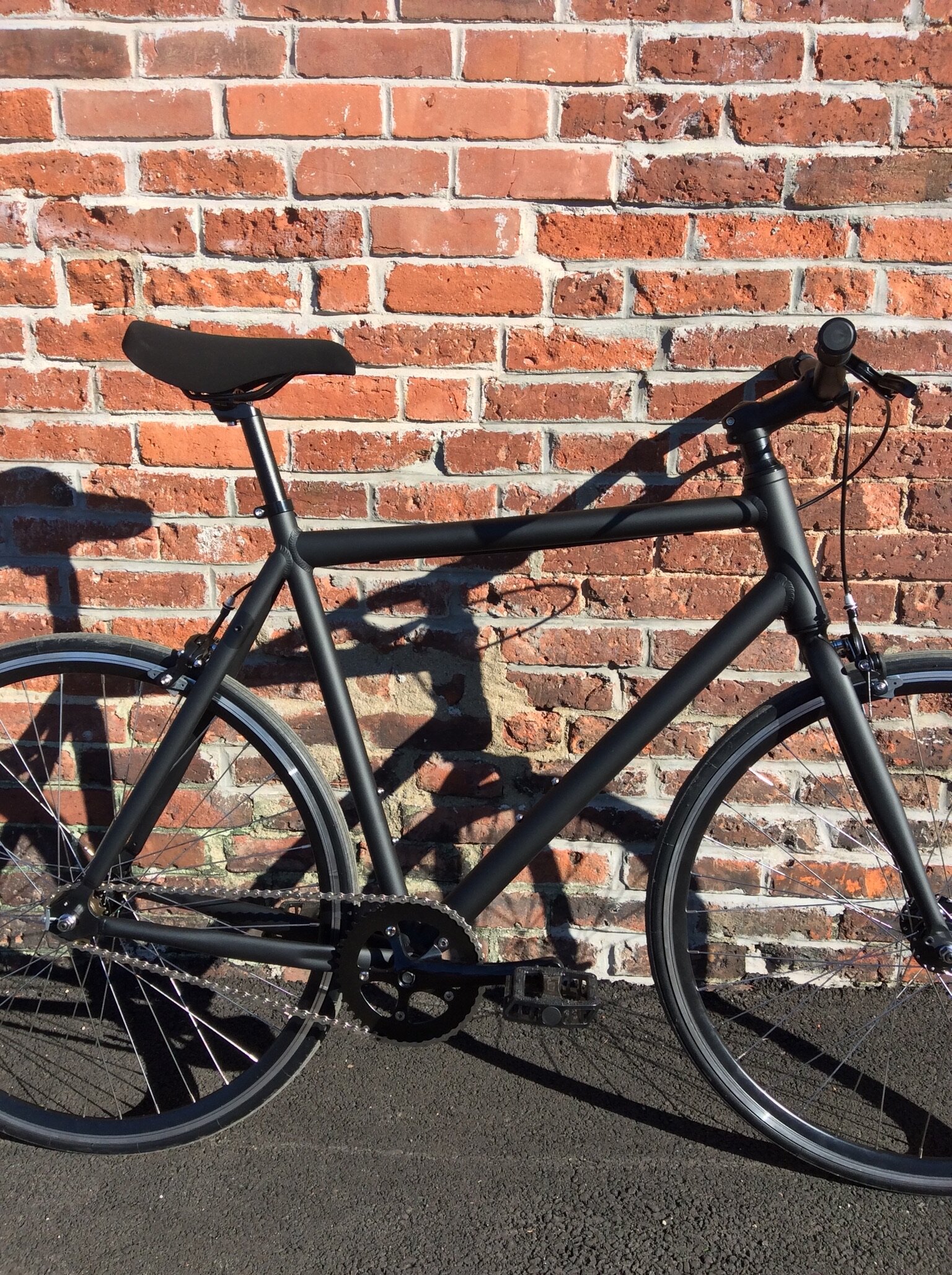 LHQ Single Speed Bicycle - LifestyleHQ.US00053.jpeg