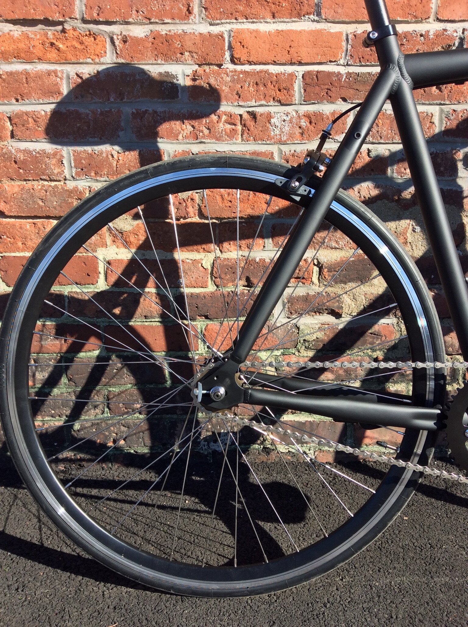 LHQ Single Speed Bicycle - LifestyleHQ.US00121.jpeg