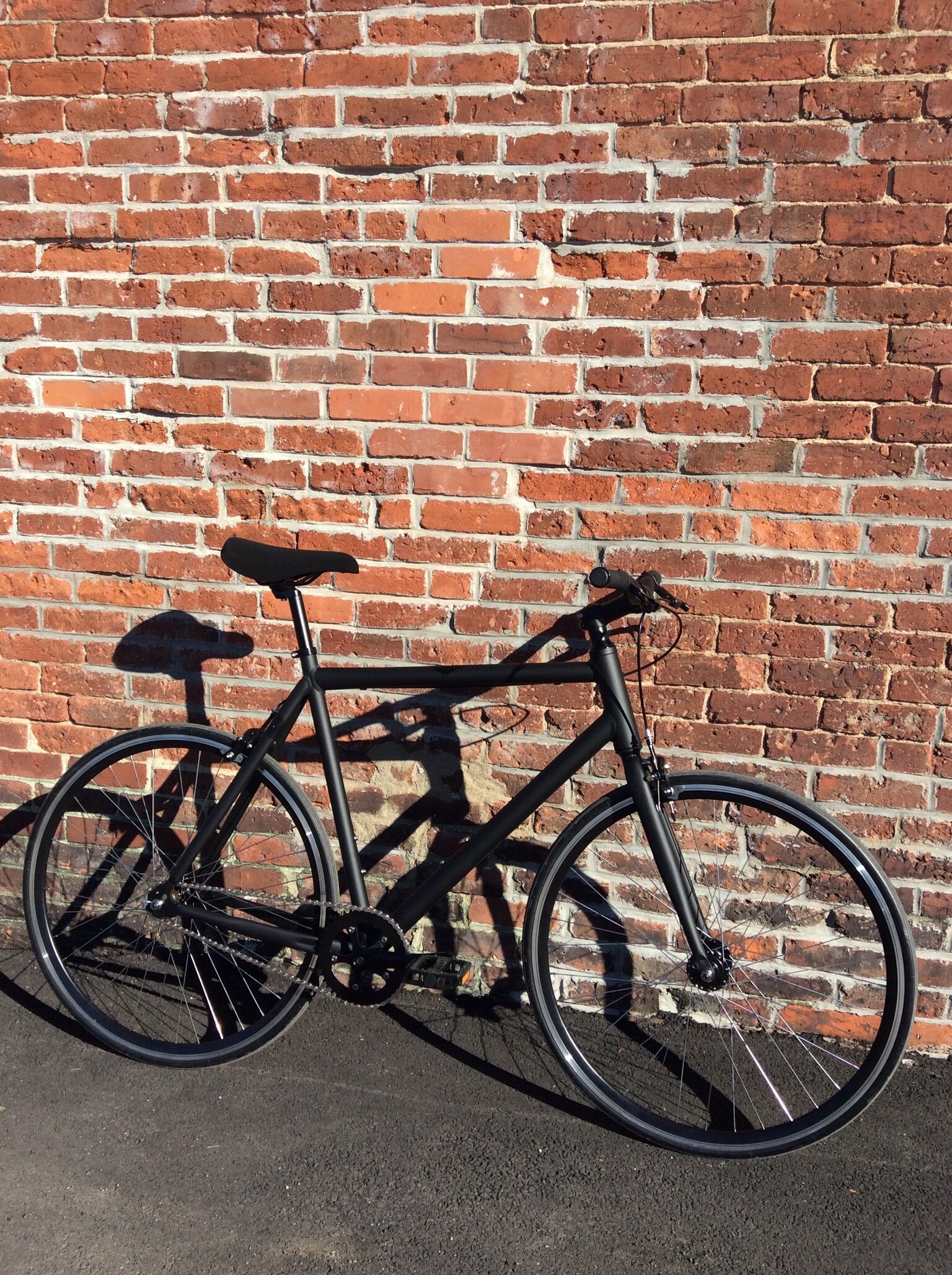 LHQ Single Speed Bicycle - LifestyleHQ.US00180.jpeg