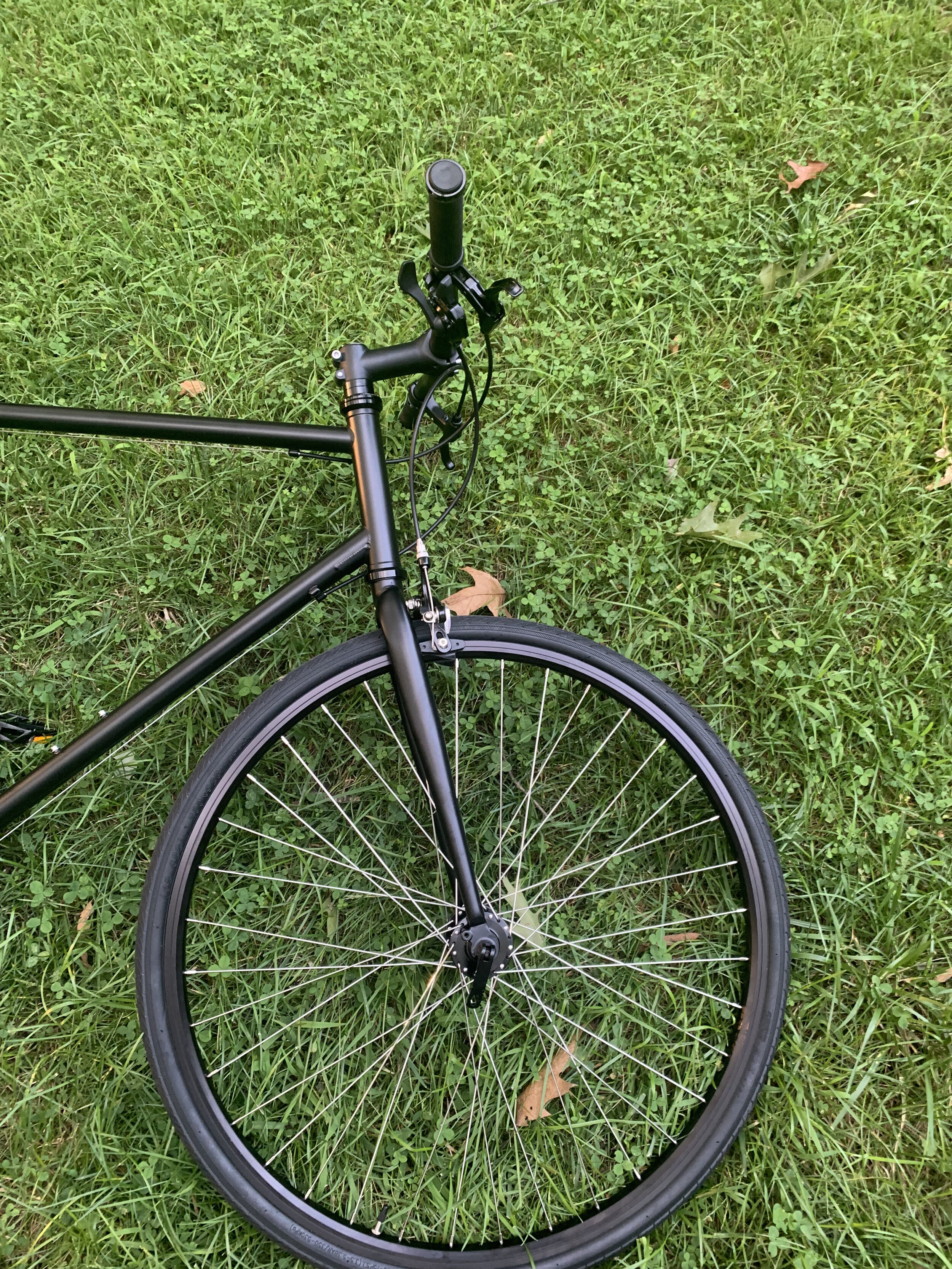 IMG_0443.jpeg