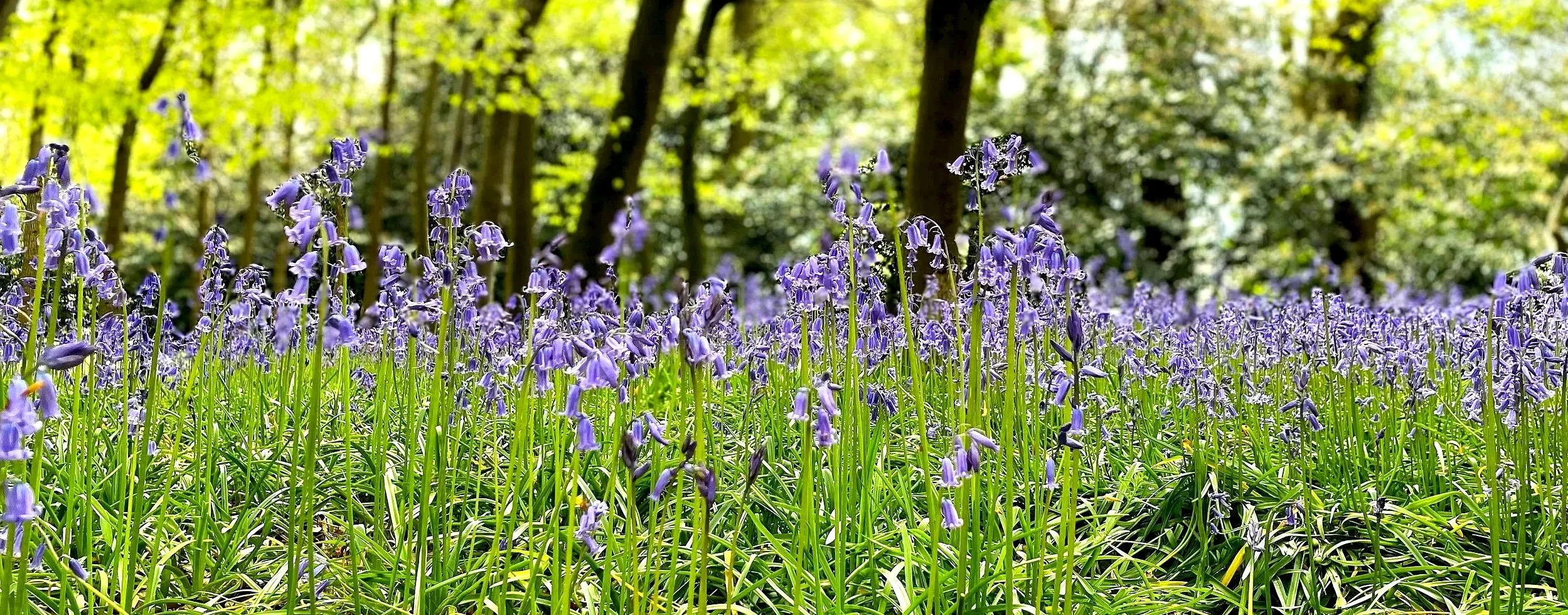 website 2026 pic 1.jpg