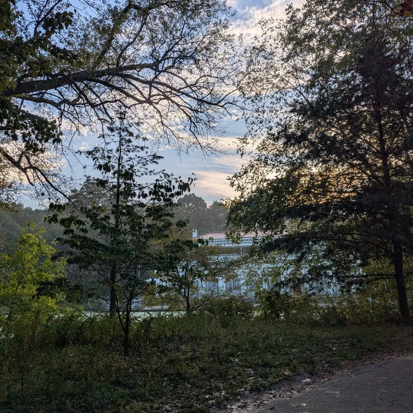 ✨6 miles✨ The longest distance I've run since 2014! If I'm lucky, I'll make it all the way to a half marathon on December 13th for my 40th. If not, then running 6 miles in a nearly empty Prospect Park on a Sunday morning is already the best gift.

Wh