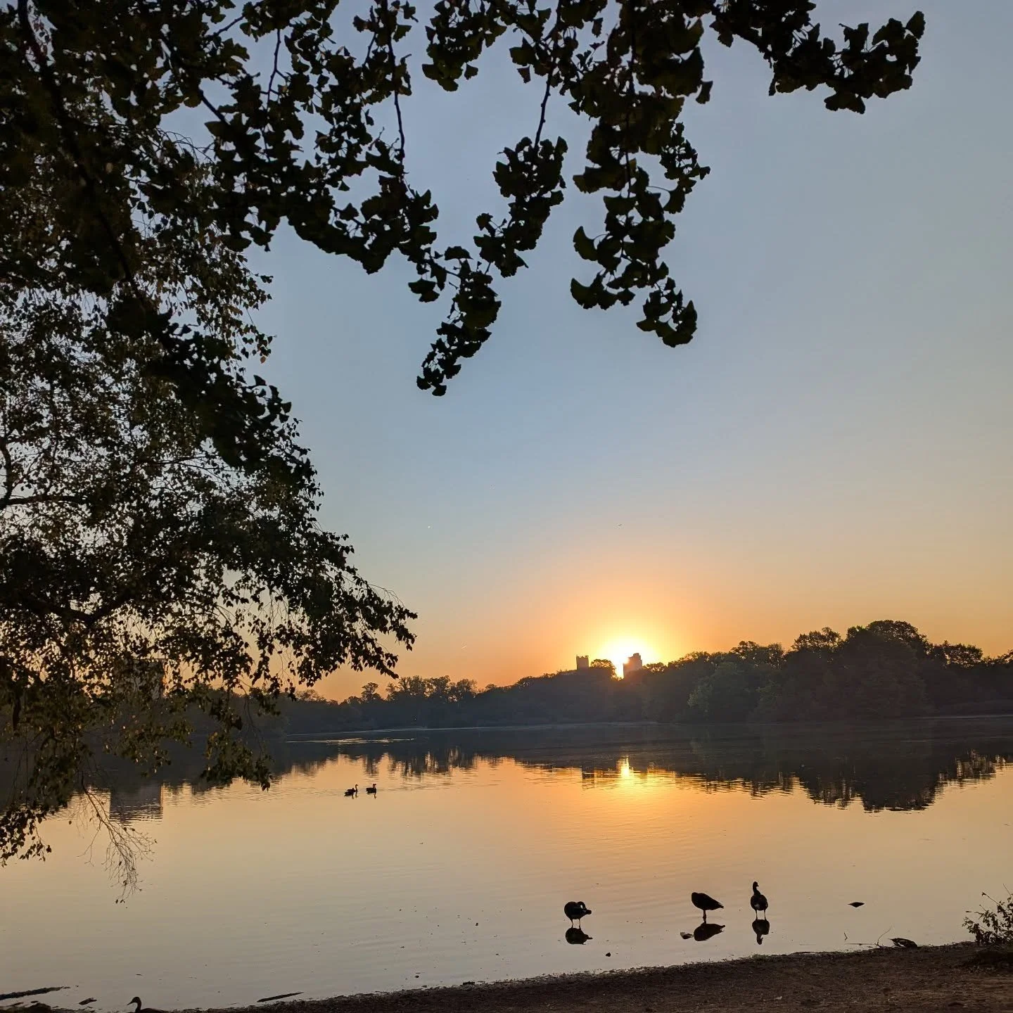 7️⃣ beautiful miles 🌳I still can't believe I made it this far. Waited 11 years for this!🏃&zwj;♀️ 🥹

🎧: Taylor Swift &quot;Life of a Showgirl&quot; (first listen!)