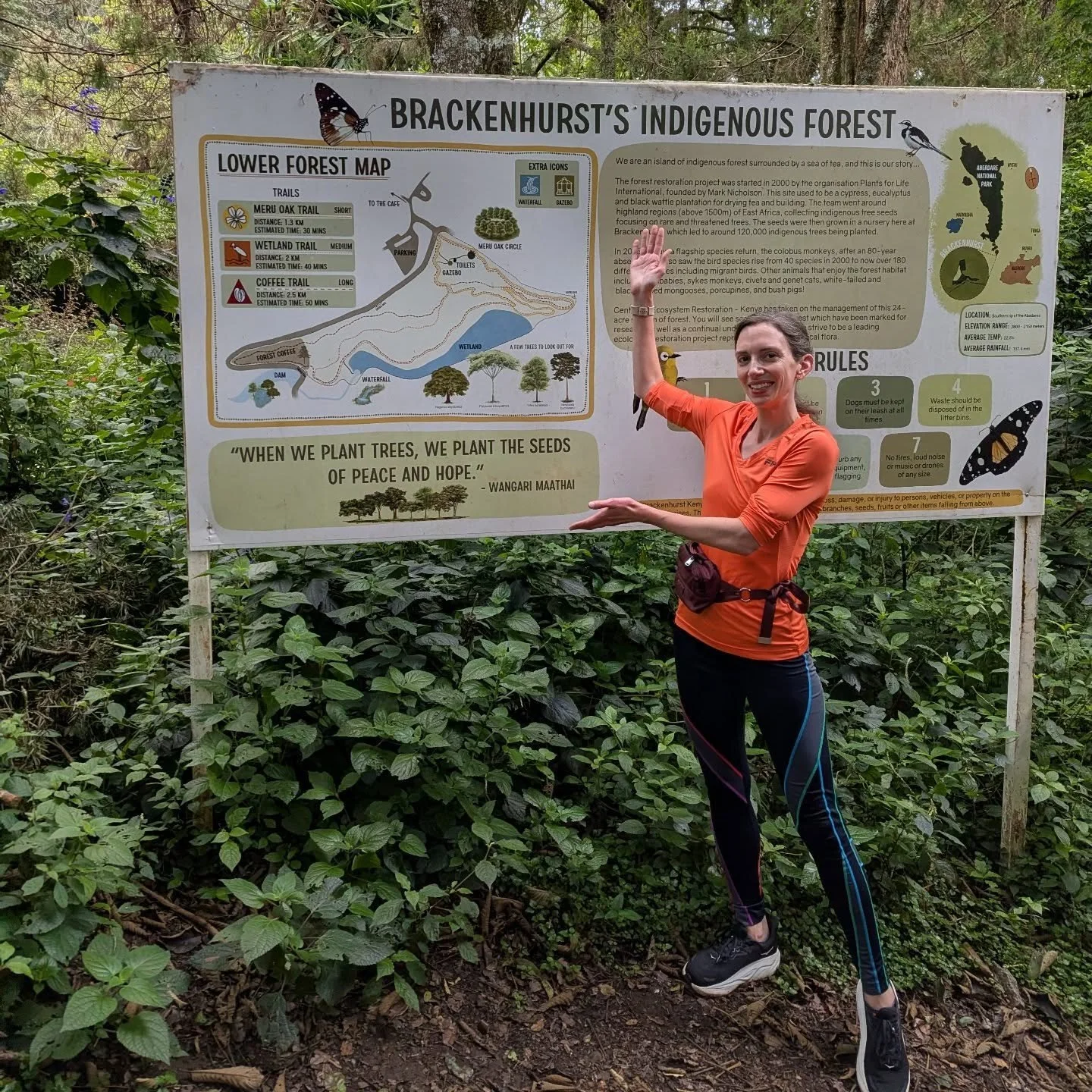 I'm keeping up with my half marathon training runs in beautiful Kenya -- much shorter distances that are SO MUCH HARDER. The elevation here is no joke. The trail outside our retreat center is lovely, and I have a running buddy!

In my monthly newslet