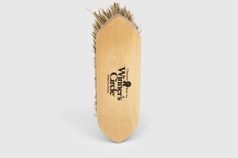 Champion Navy Poly Stiff Dandy Horse Grooming Brush, Grooming Supplies &  Tack at TOHTC.com