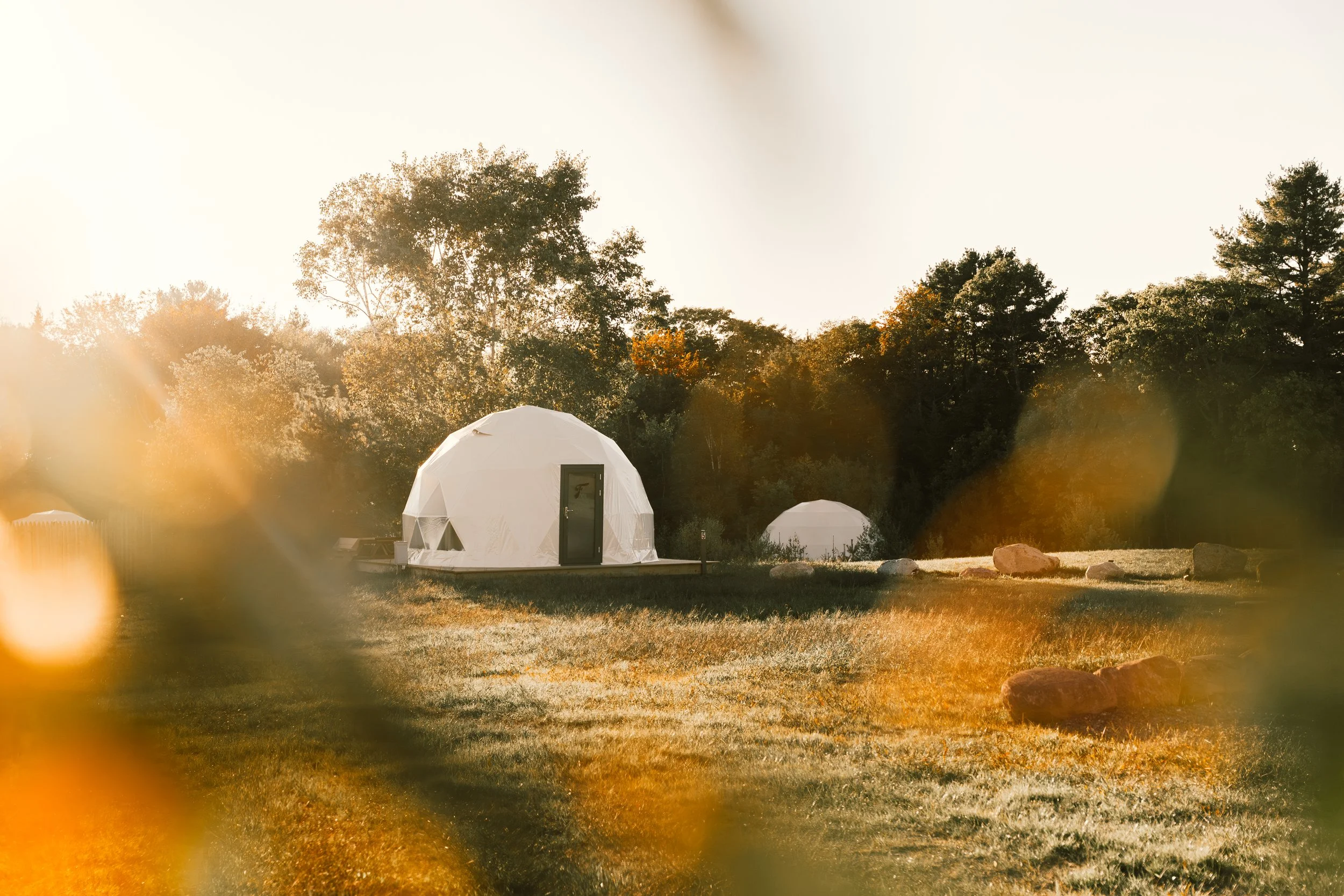 Ferncrest - Acadia, Maine