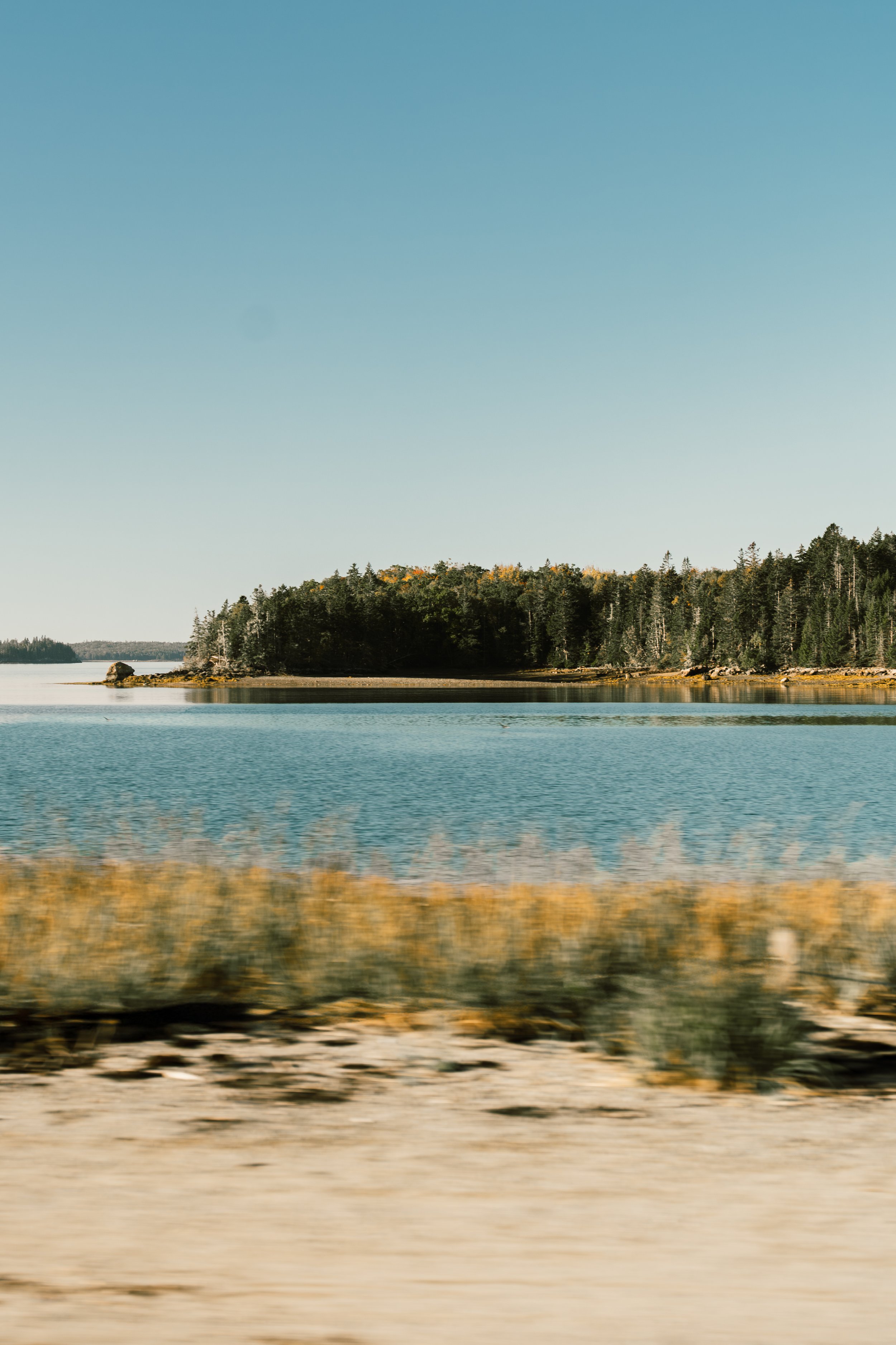 DSC09178.jpg
