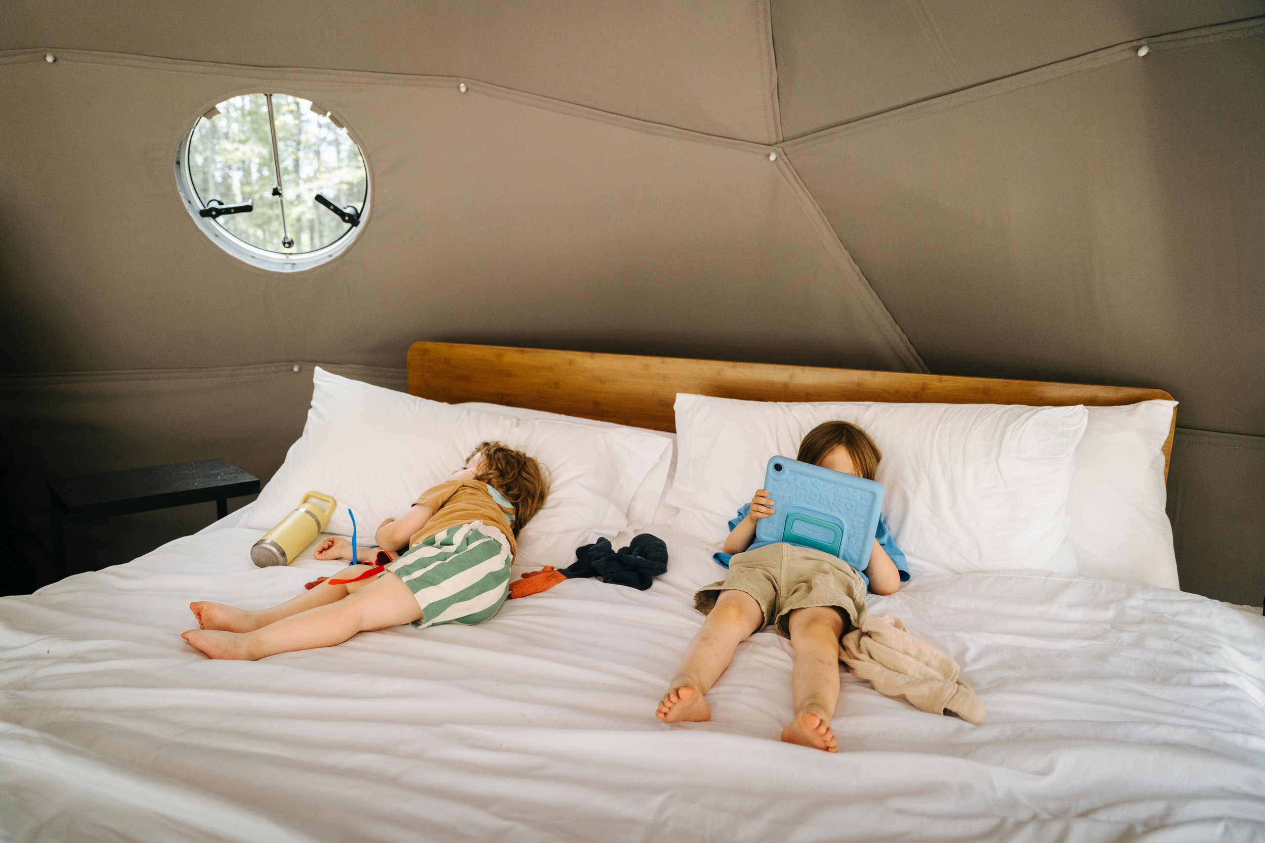 DSC06493.jpg