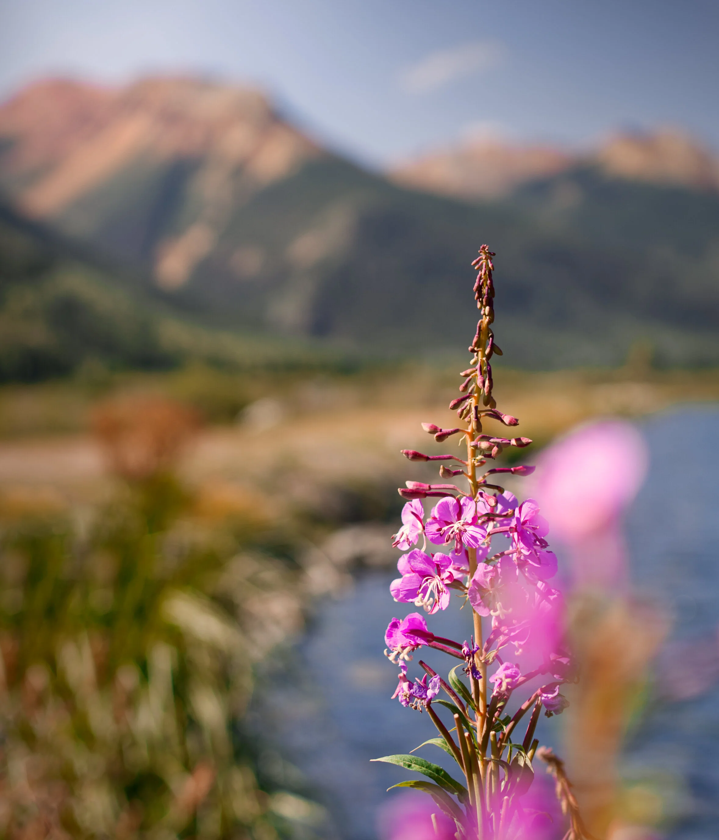 Colorado_15.1.jpg