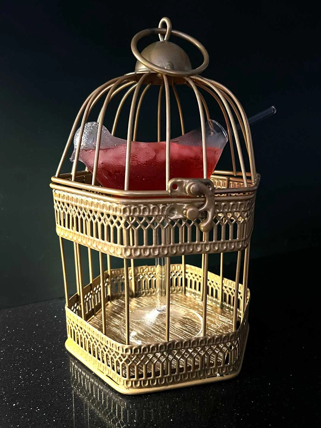 BIRD-GLASS-IN-MINI-BIRD-CAGE-COCKTAIL-SERVE-WEB-7.jpg