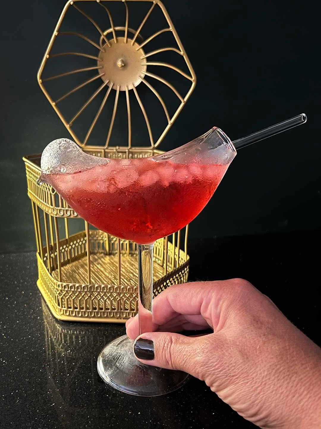 BIRD-GLASS-IN-MINI-BIRD-CAGE-COCKTAIL-SERVE-WEB-9.jpg