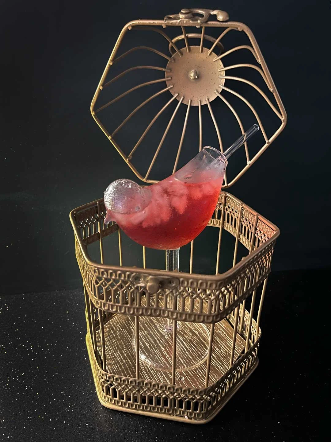 BIRD-GLASS-IN-MINI-BIRD-CAGE-COCKTAIL-SERVE-WEB-11.jpg
