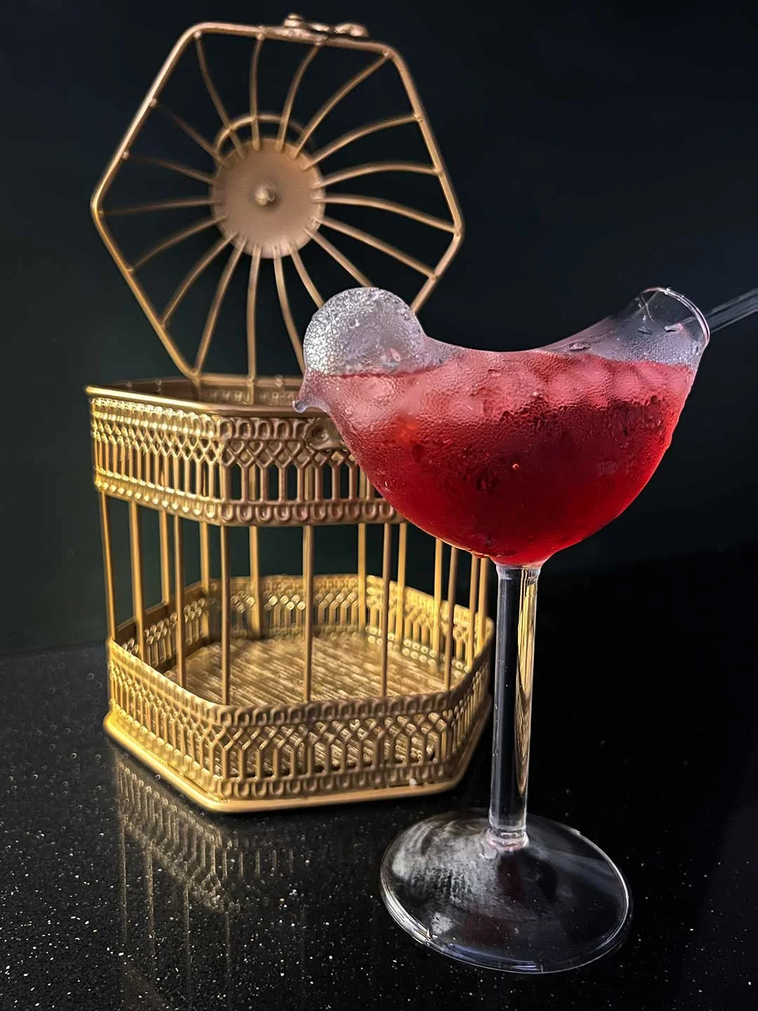 BIRD-GLASS-IN-MINI-BIRD-CAGE-COCKTAIL-SERVE-WEB-8.jpg