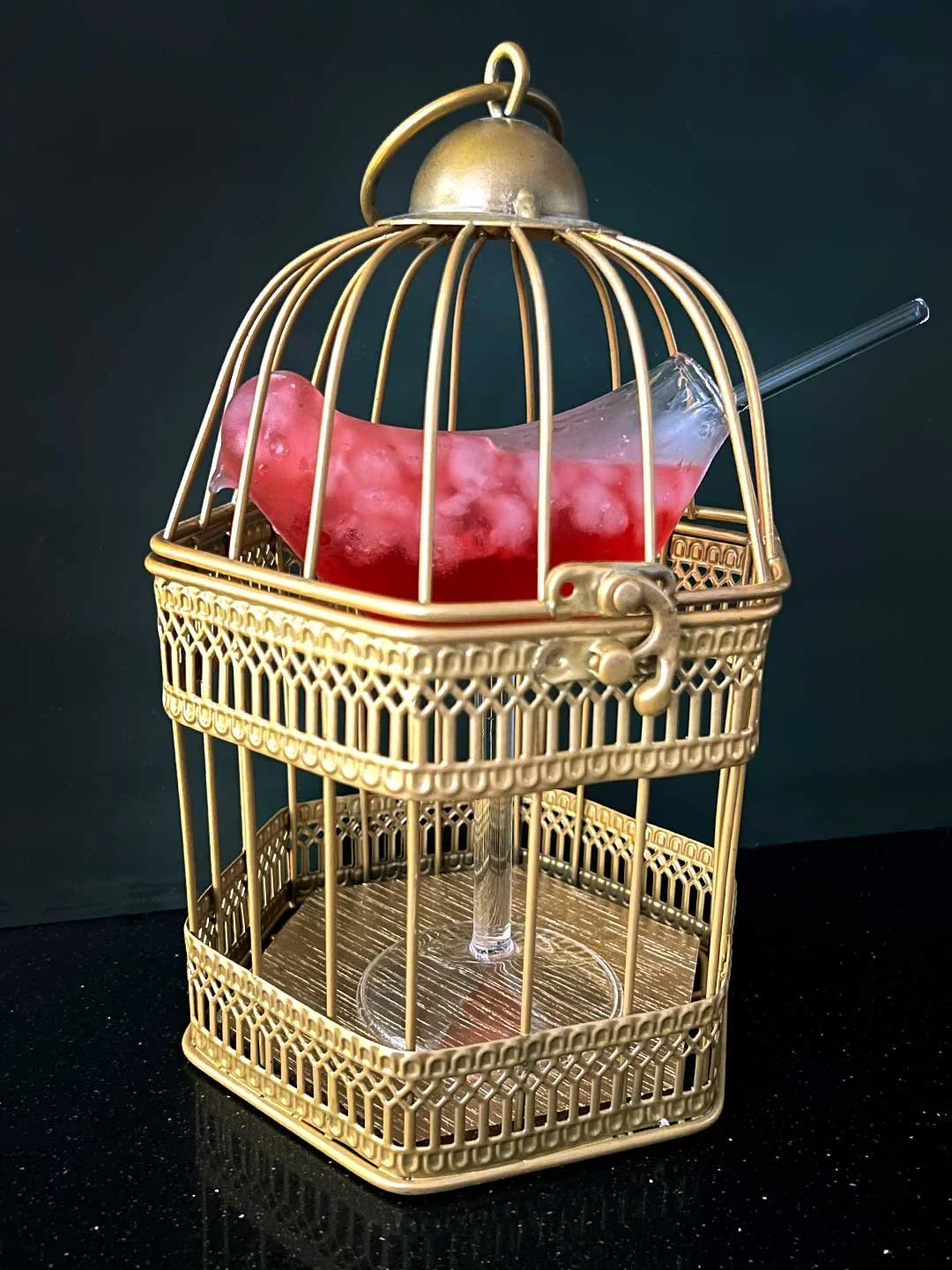 BIRD-GLASS-IN-MINI-BIRD-CAGE-COCKTAIL-SERVE-WEB-16.jpg