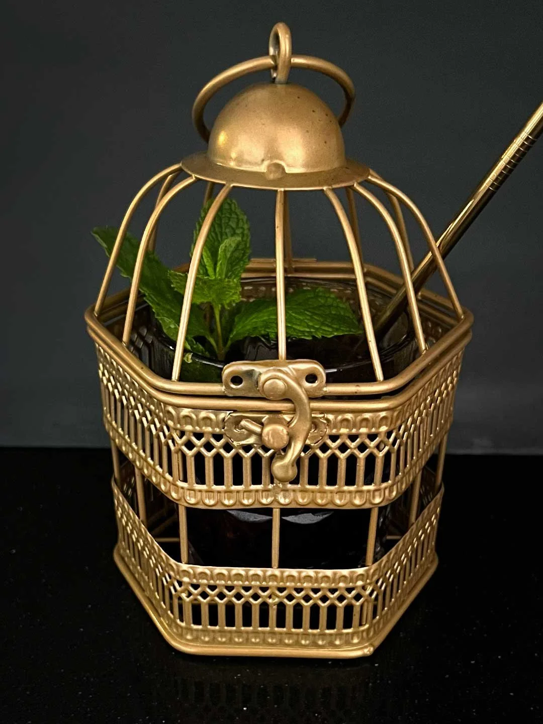 BIRD-CAGE-COCKTAIL-GLASS-WEB-5.jpg