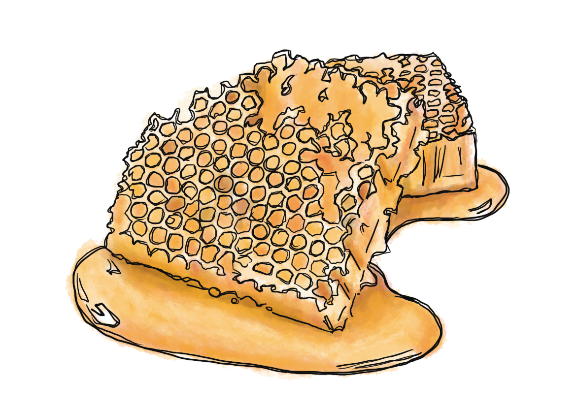 Illustration of honey and honeycomb