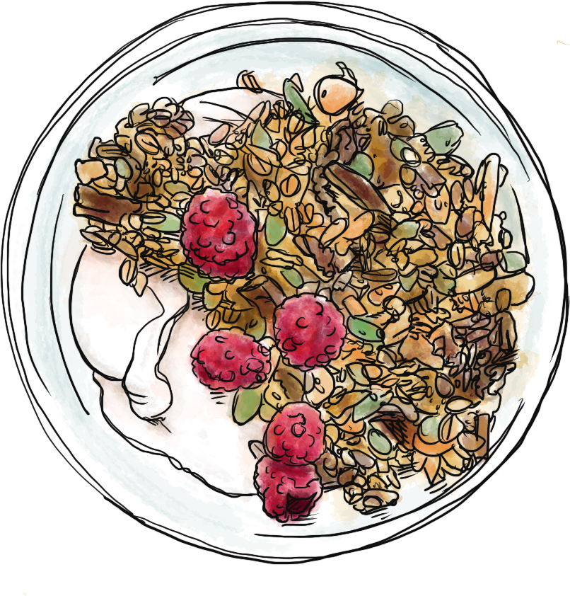 Colored illustration of homemade granola on yogurt with raspberries