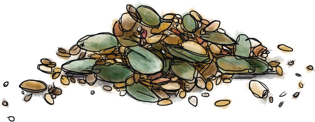 Color illustration of seeds and nuts