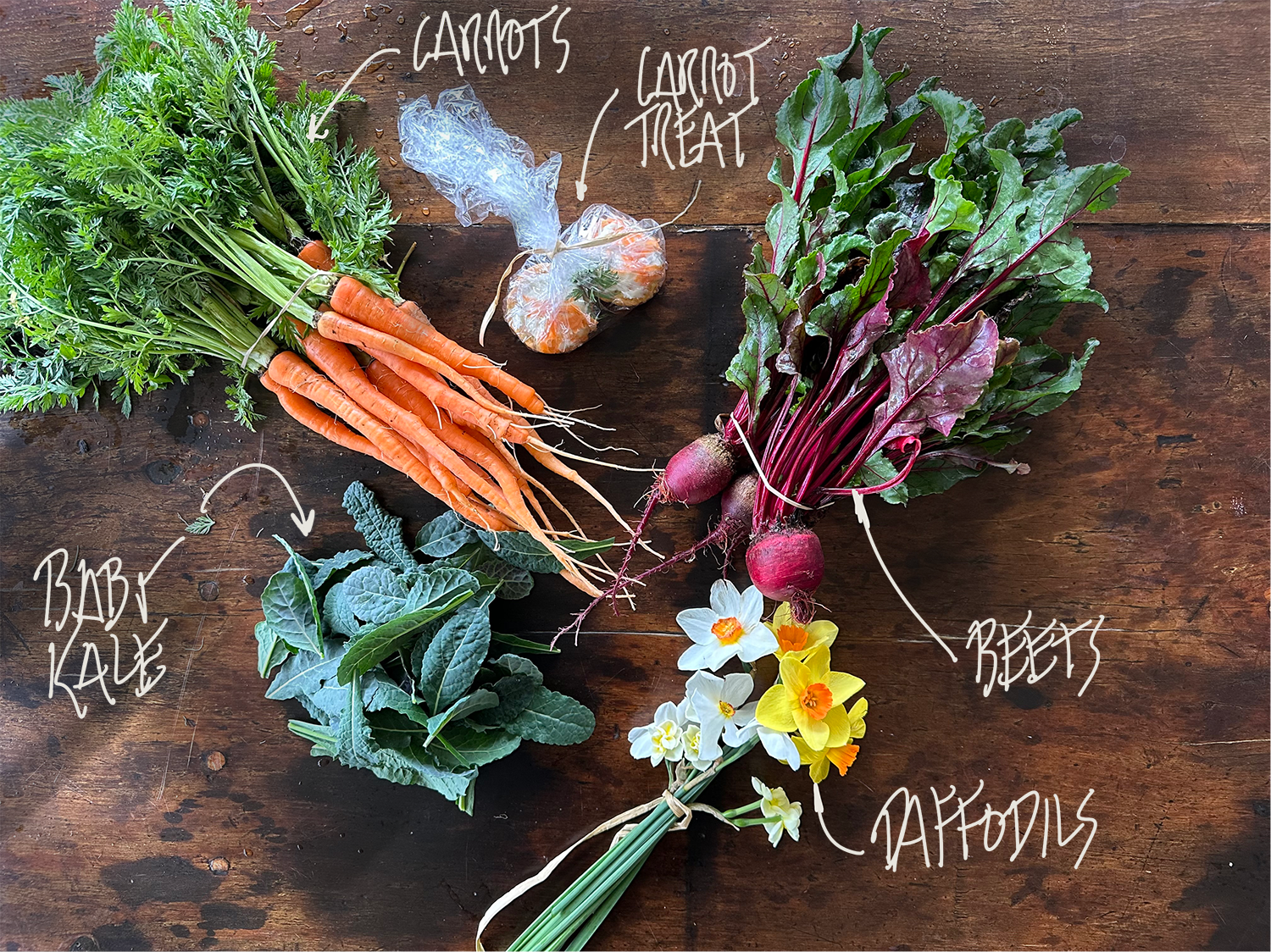 2024 Spring | Week 2