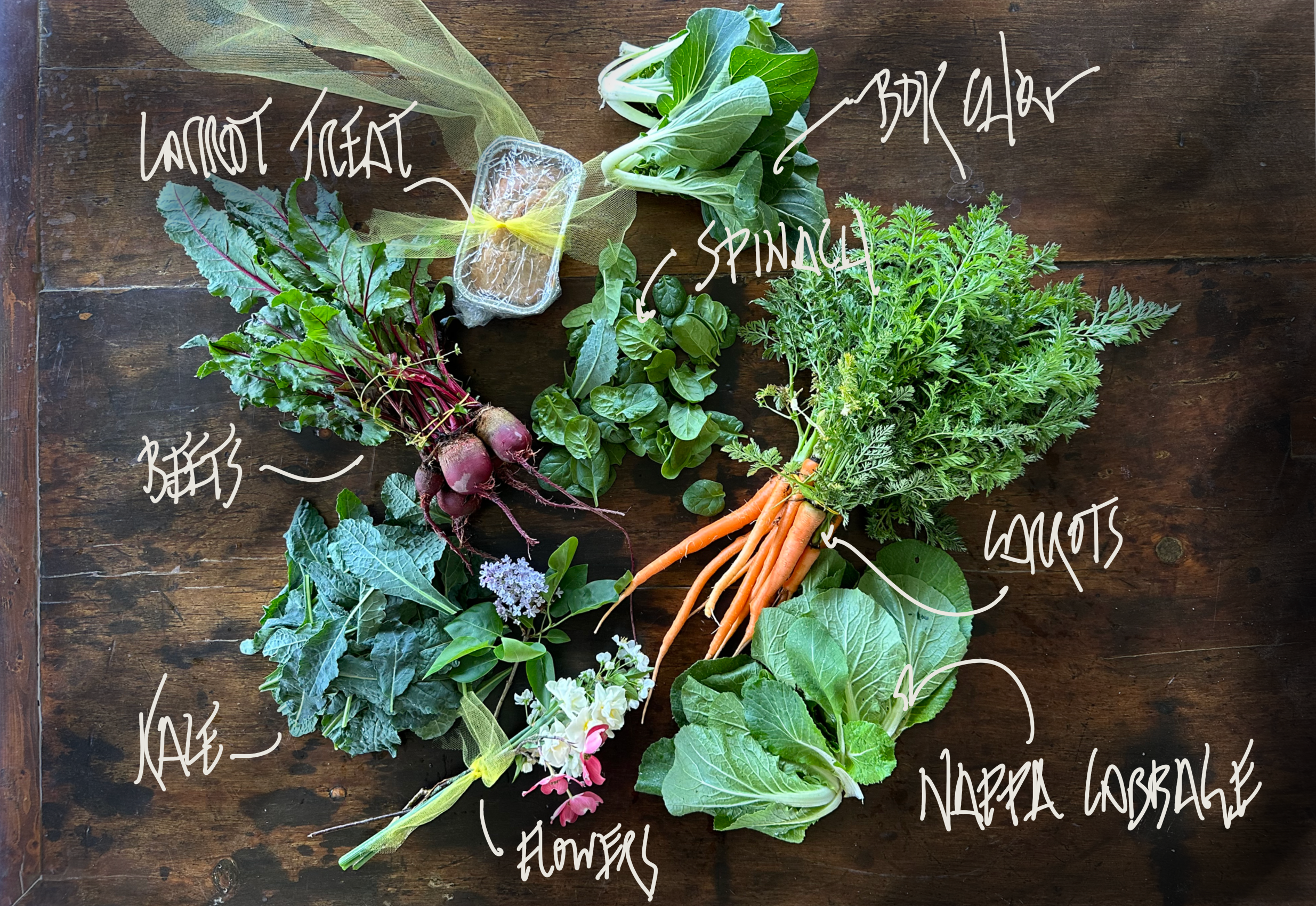 2024 Spring | Week 3