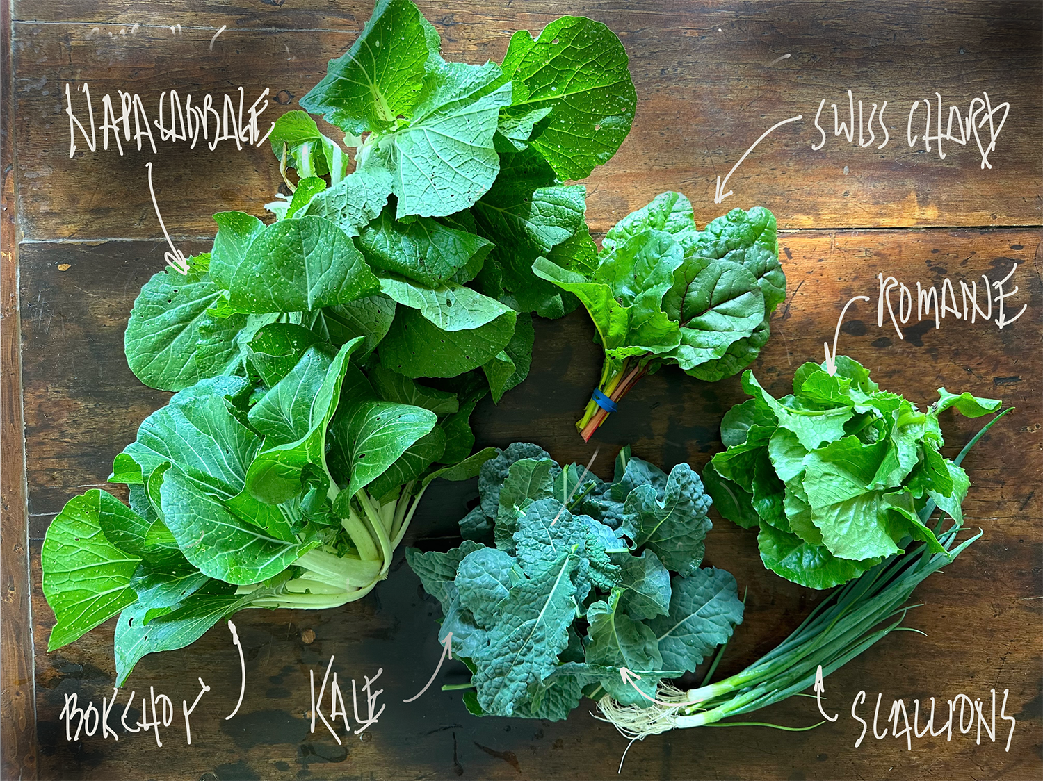 2024 Spring | Week 5