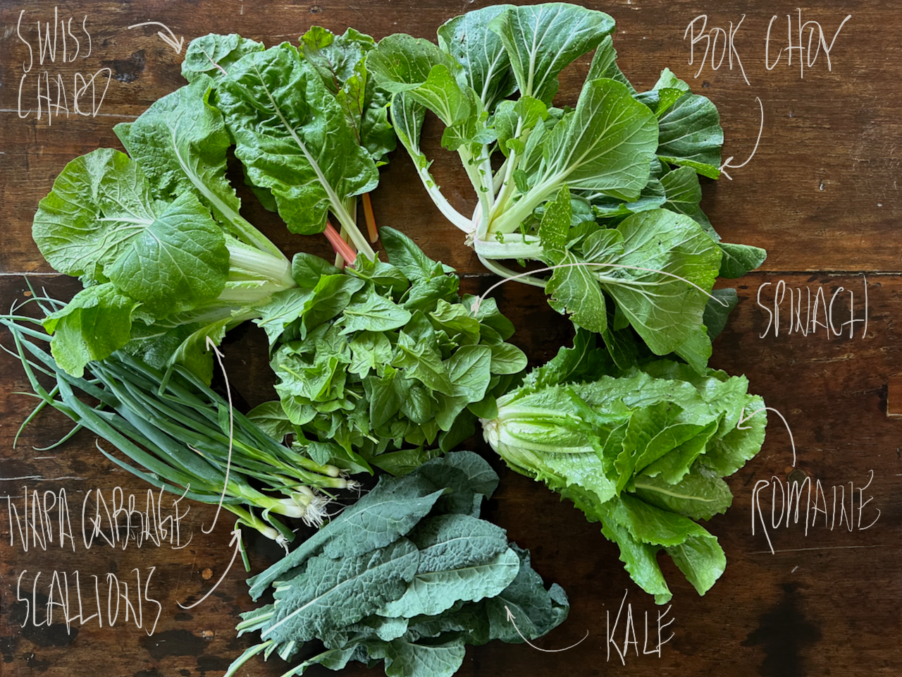 2024 Spring | Week 7