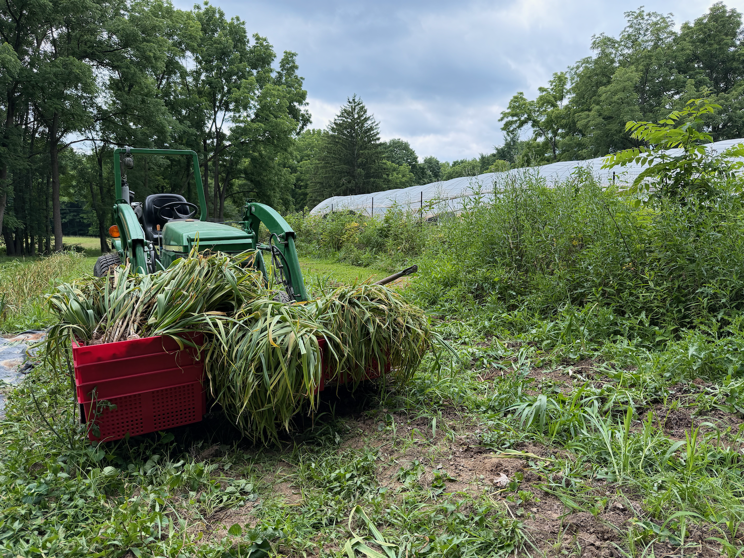 YSFG2026Harvest9 - 5.png