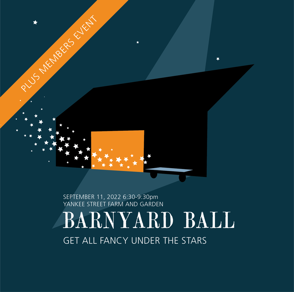 Barnyard Ball — Yankee Street Farm