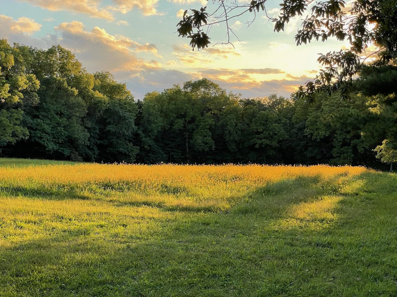 YSFG_2021_Annual Report - 101.jpeg