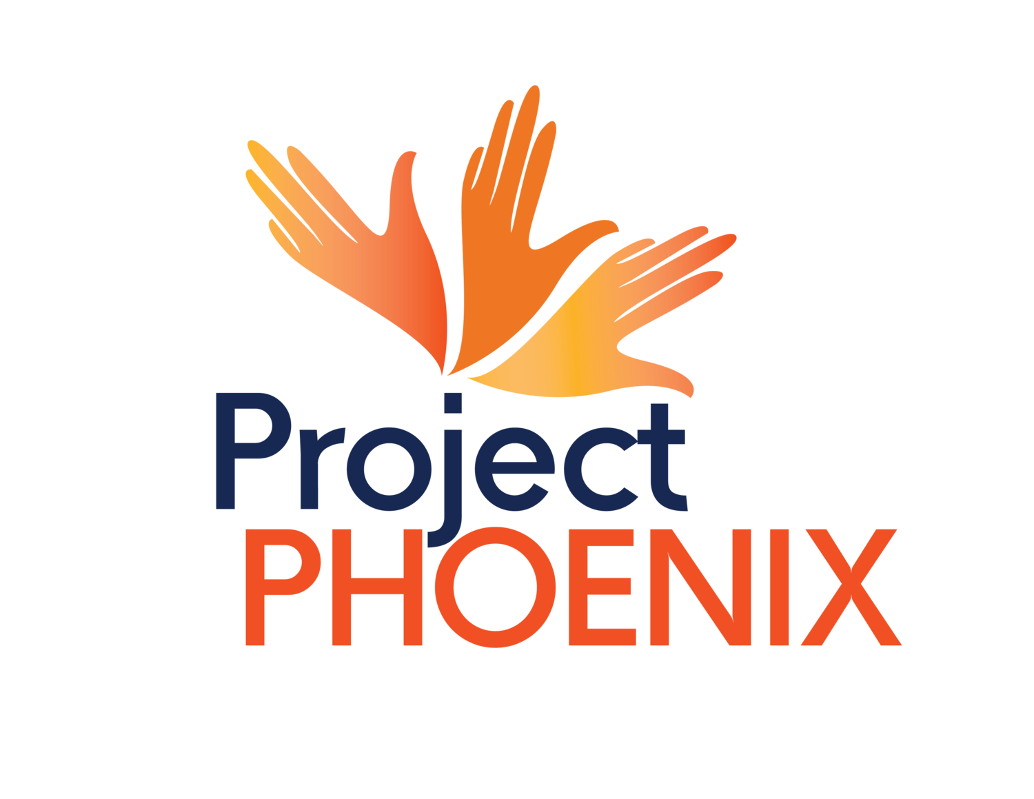 guiding-principles-project-phoenix