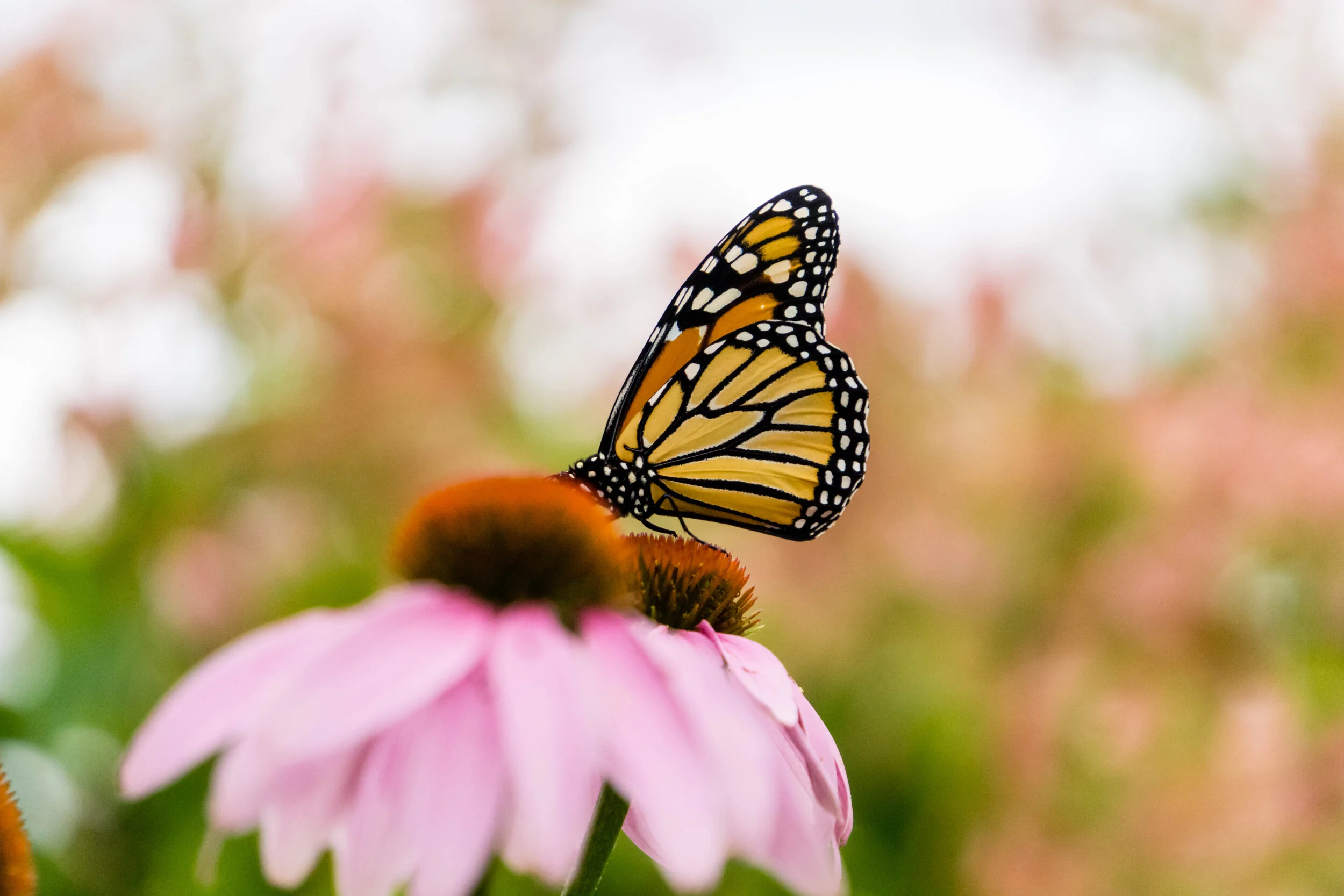 Transformational change: the communicators’ guide