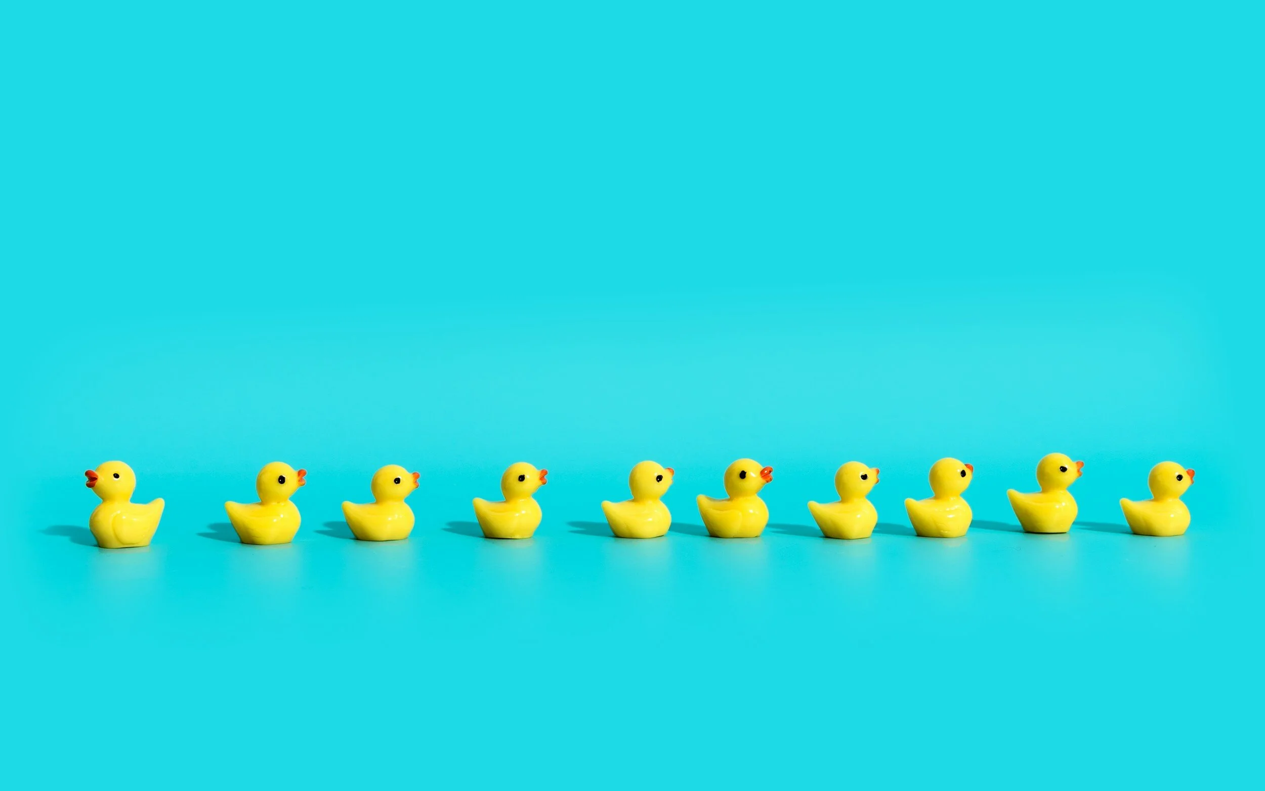 Getting your ducks in a row; how to get started on a communications strategy