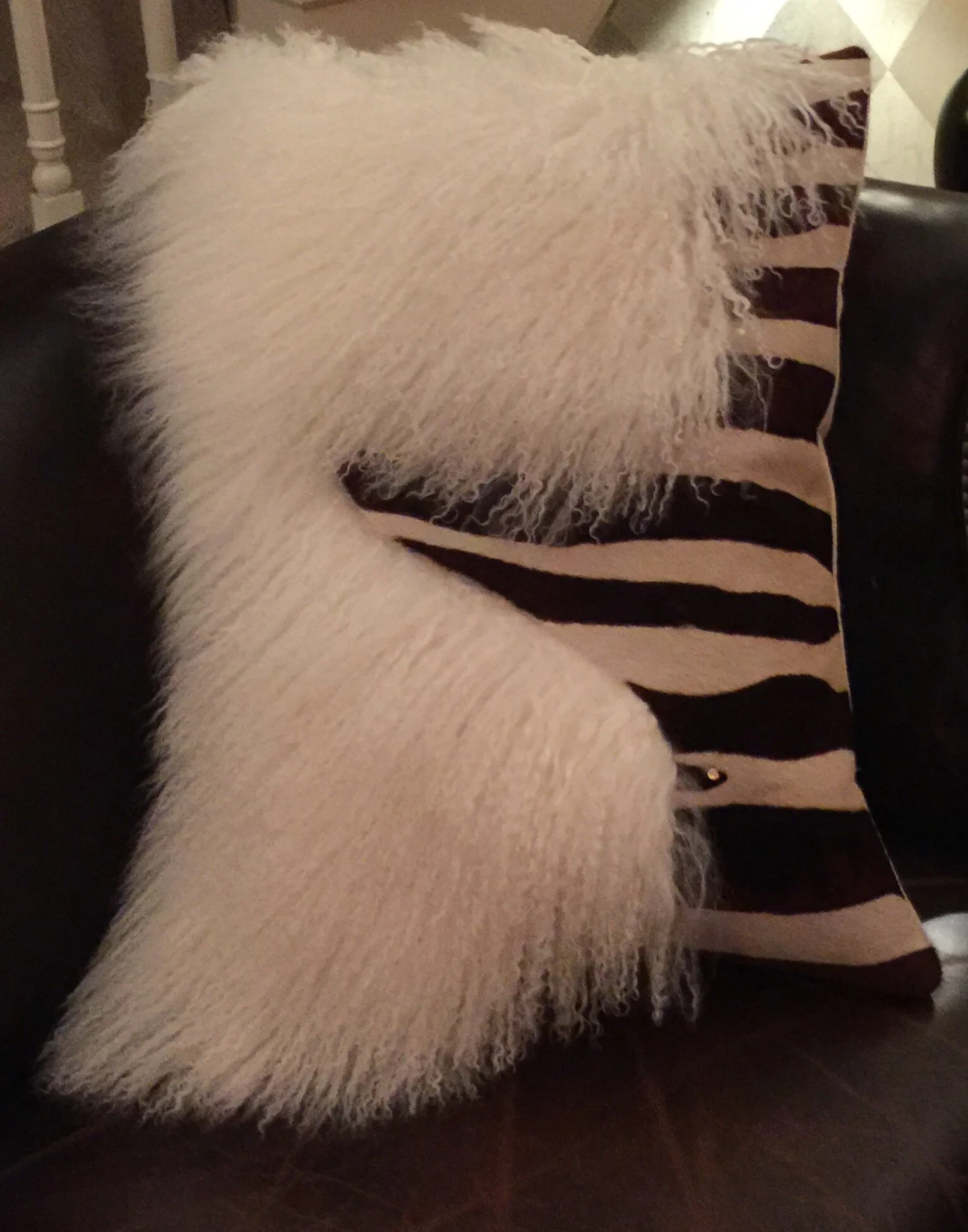  Hide on hair-curly sheep 