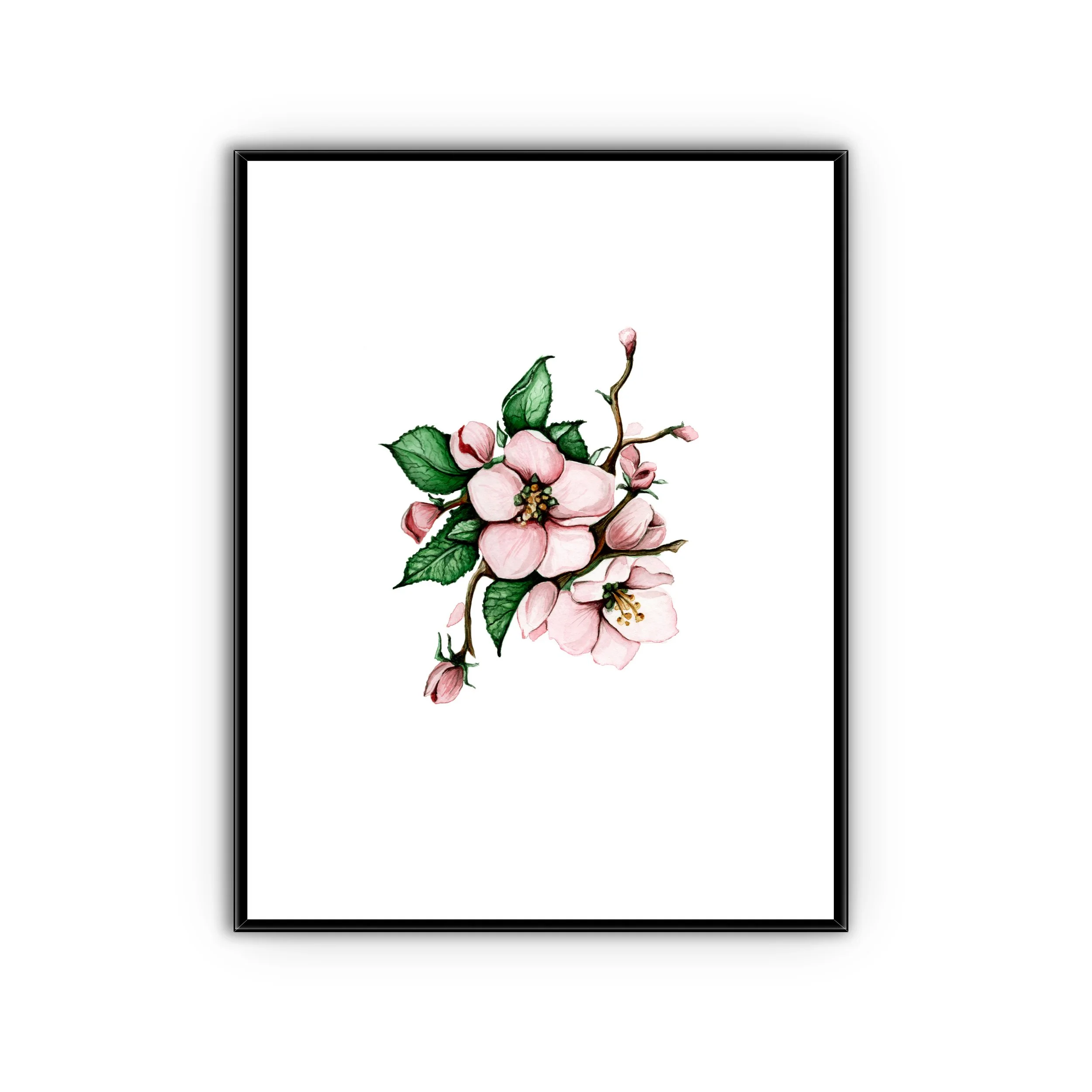 Crab Apple - 8.5" x 11"