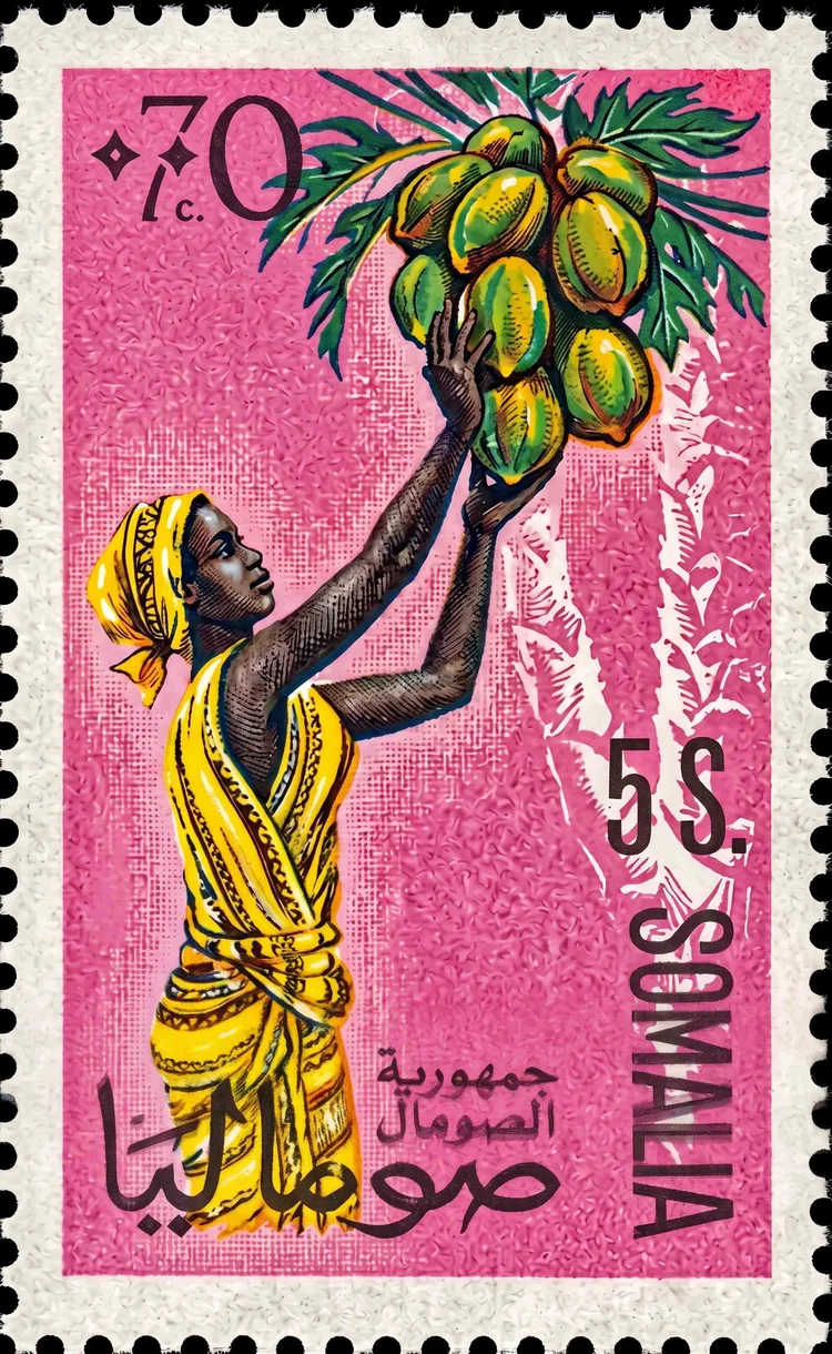 Somali stamp