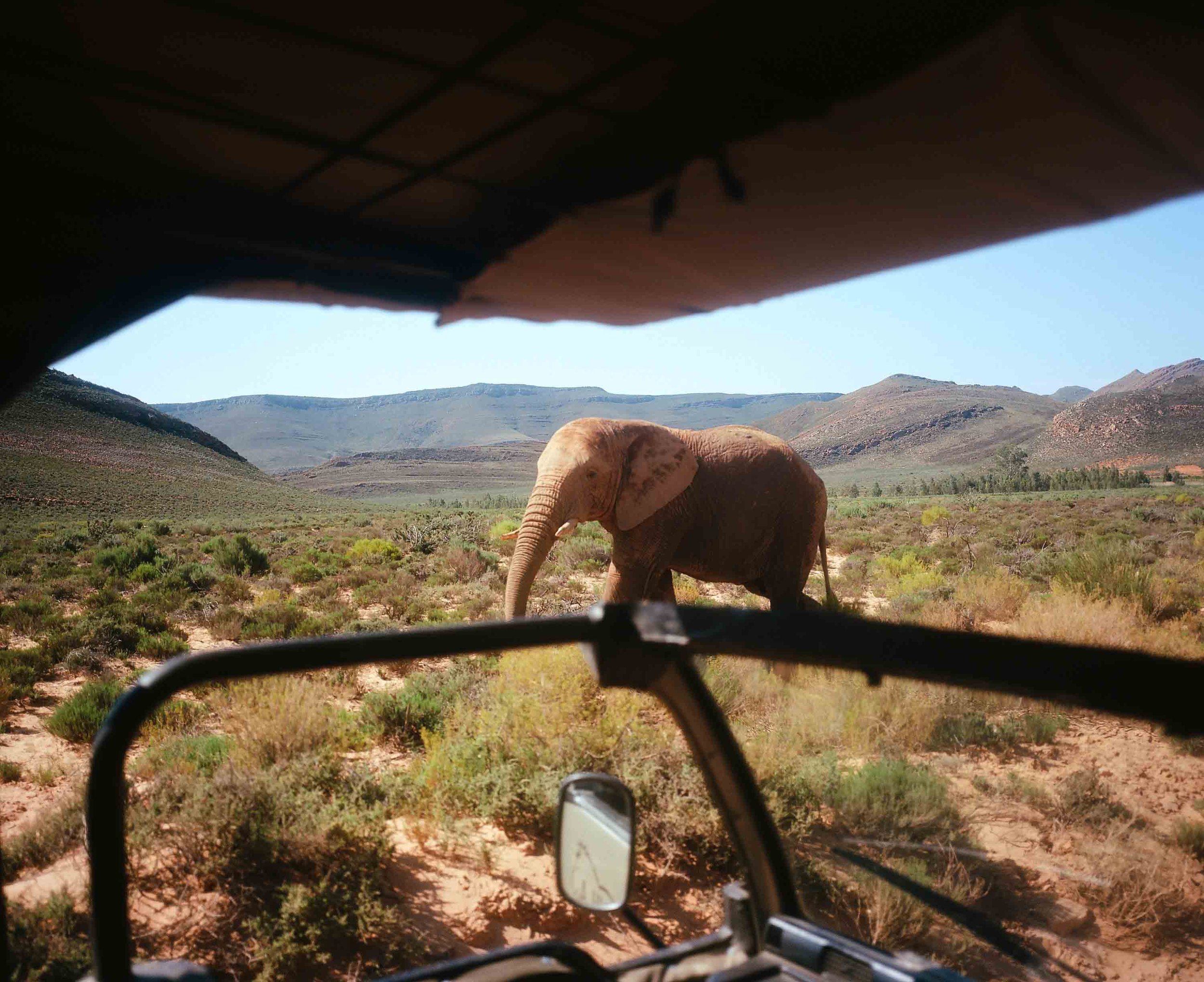 Aquila game reserve 2024