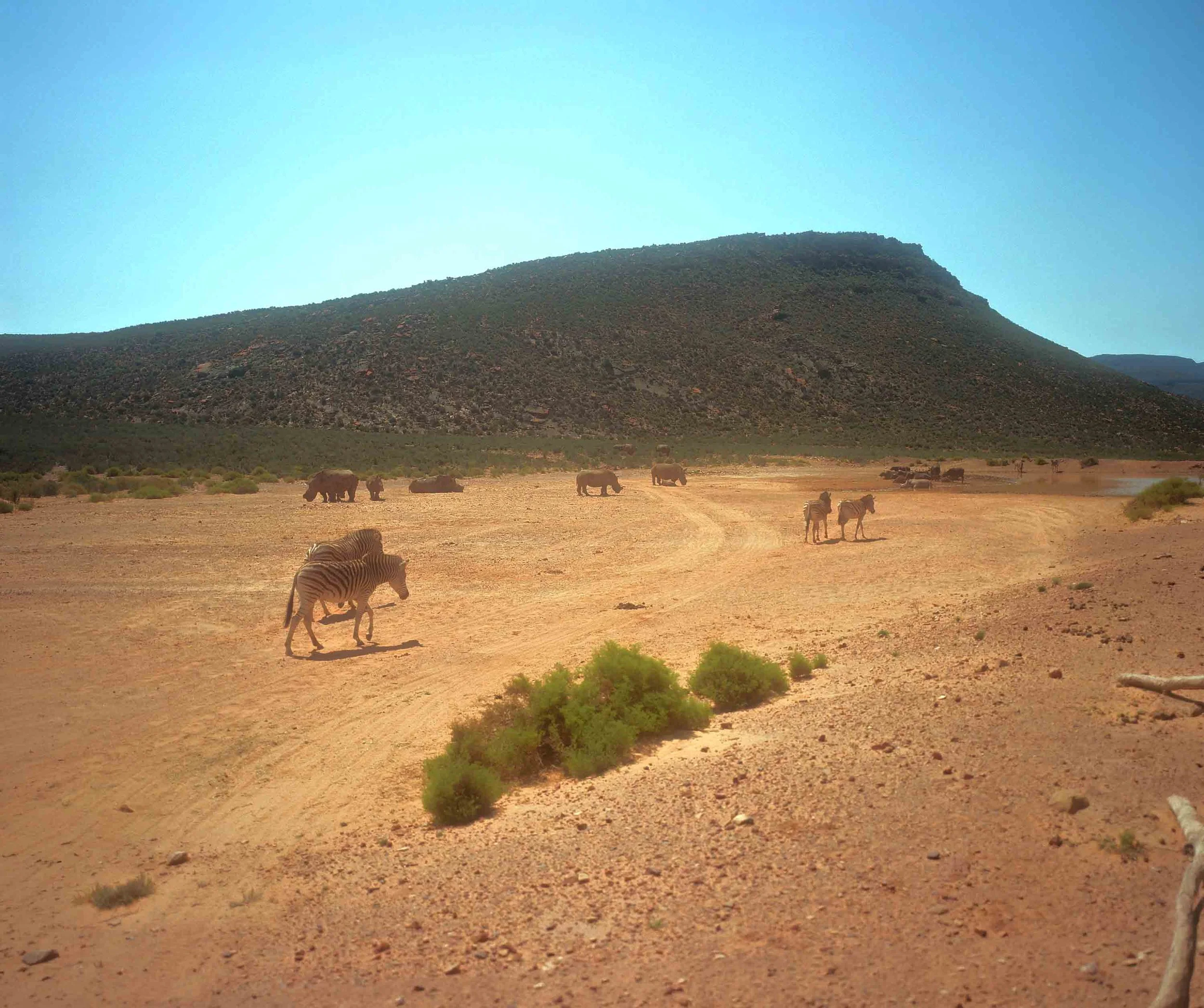 Aquila game reserve 2024