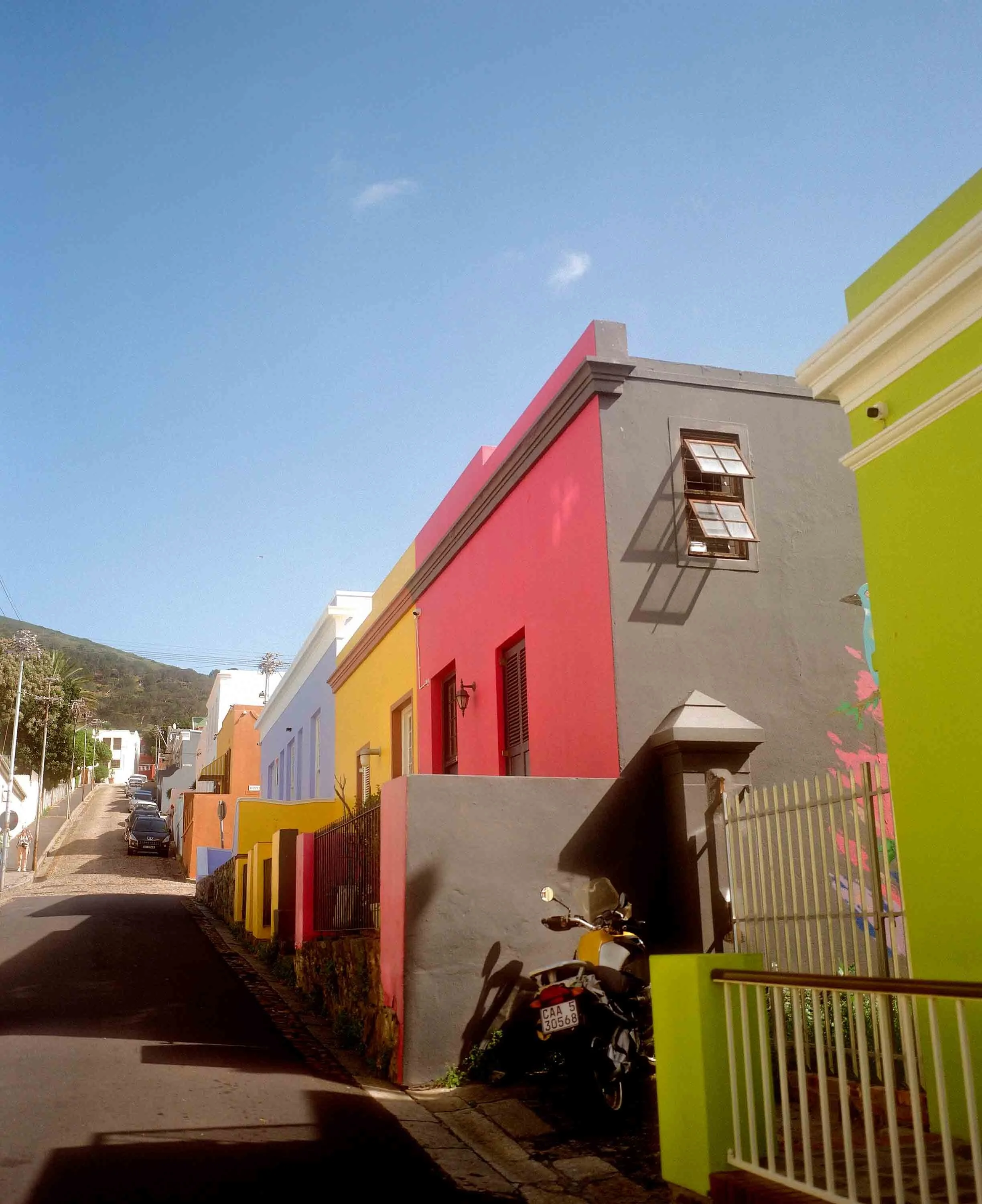 Boulders Beach penguins 2024