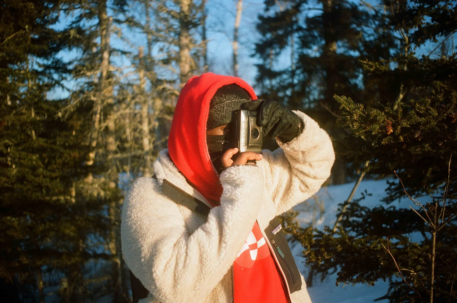 North Shore 35mm film Temperance River Minnesota landscape
