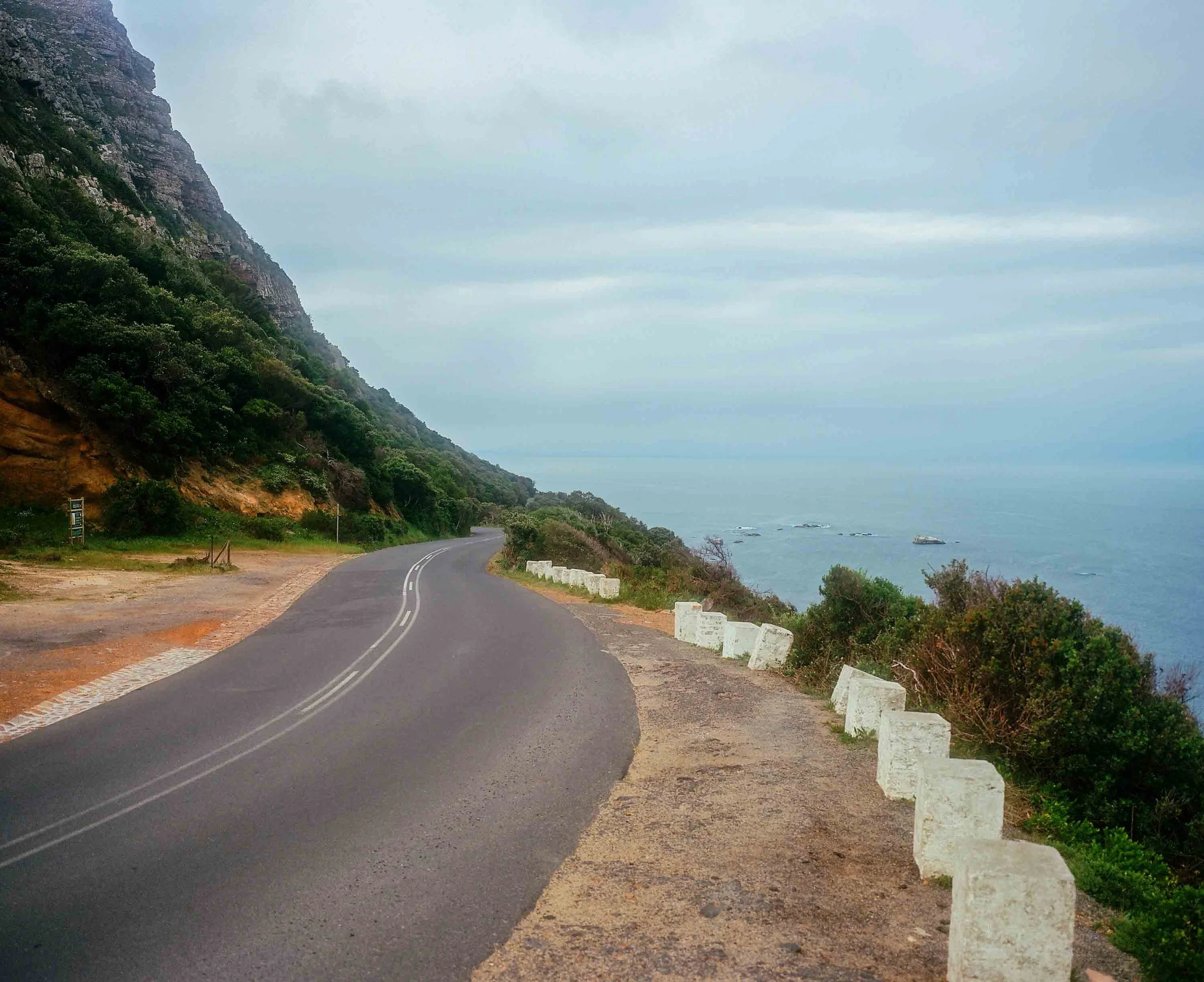 Boulders Beach penguins 2024