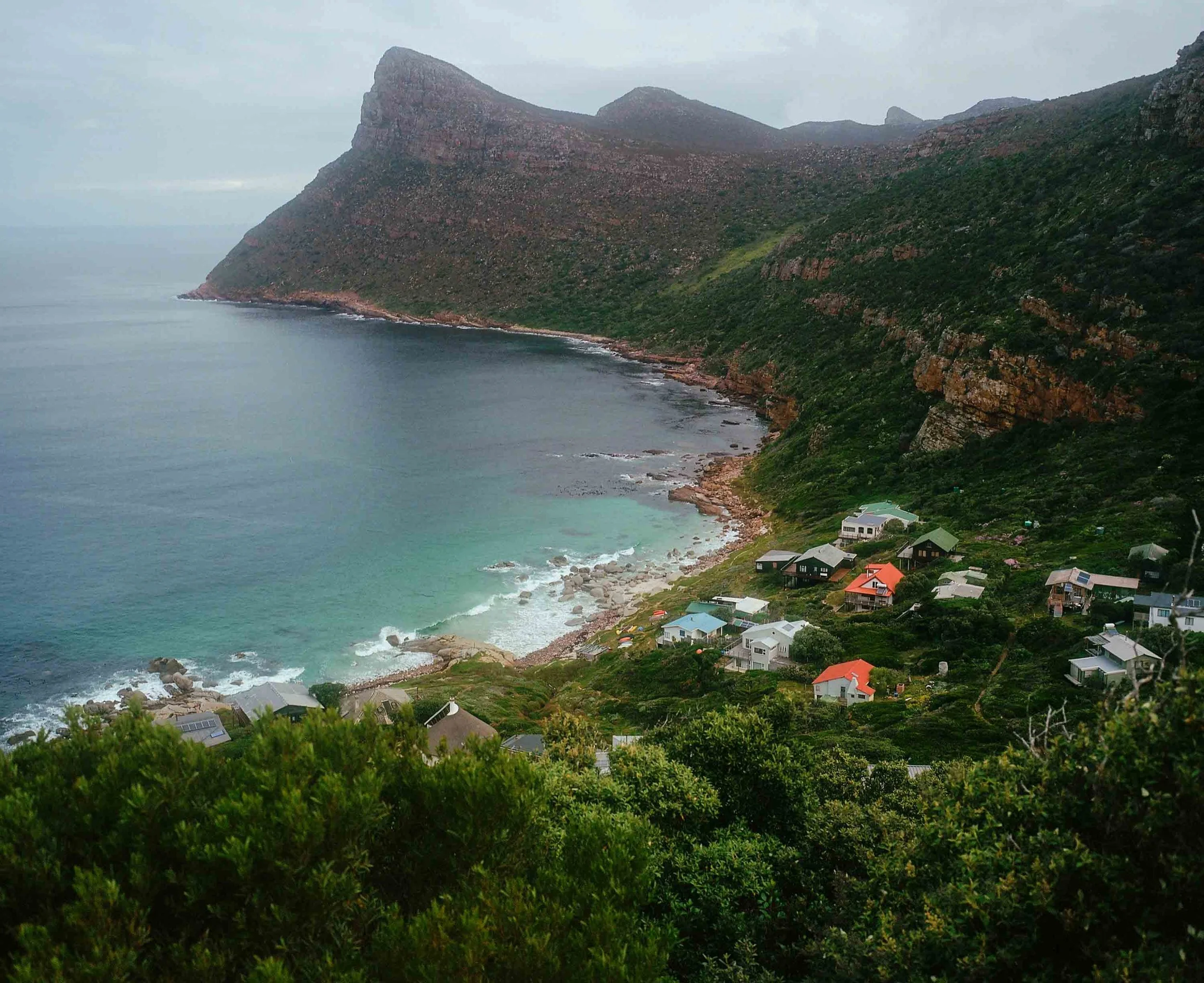 Boulders Beach penguins 2024
