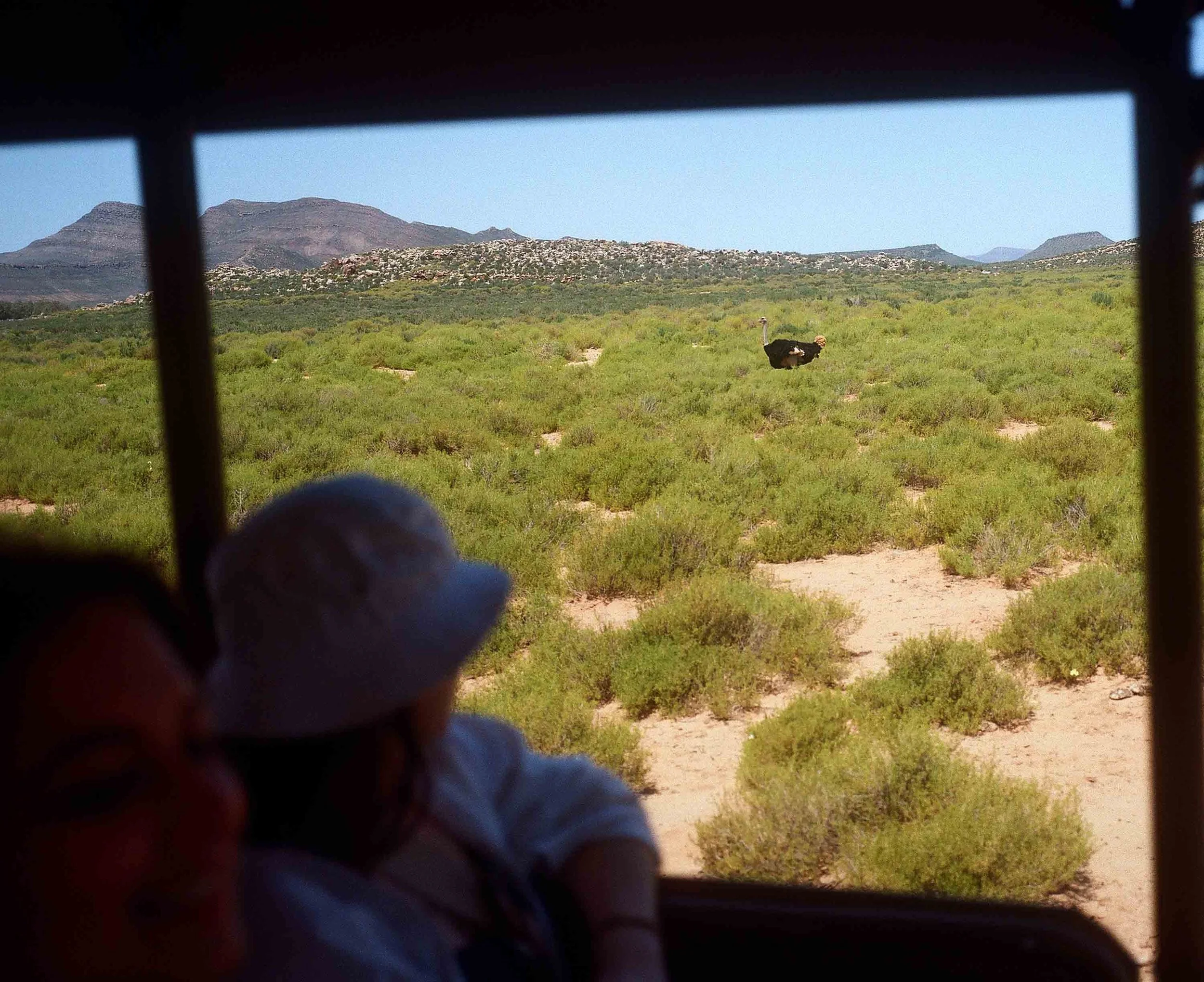 Aquila game reserve 2024