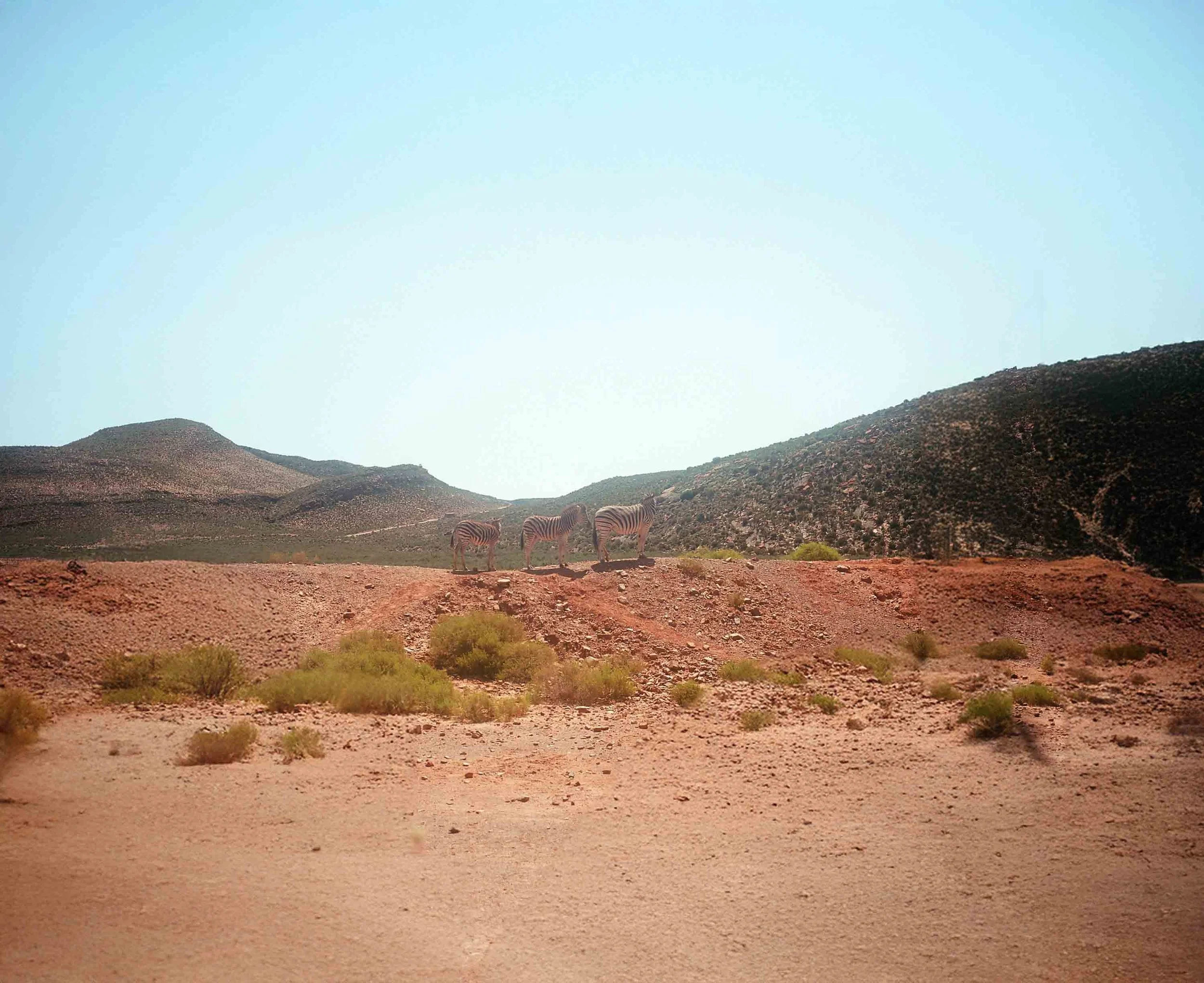 Aquila game reserve 2024