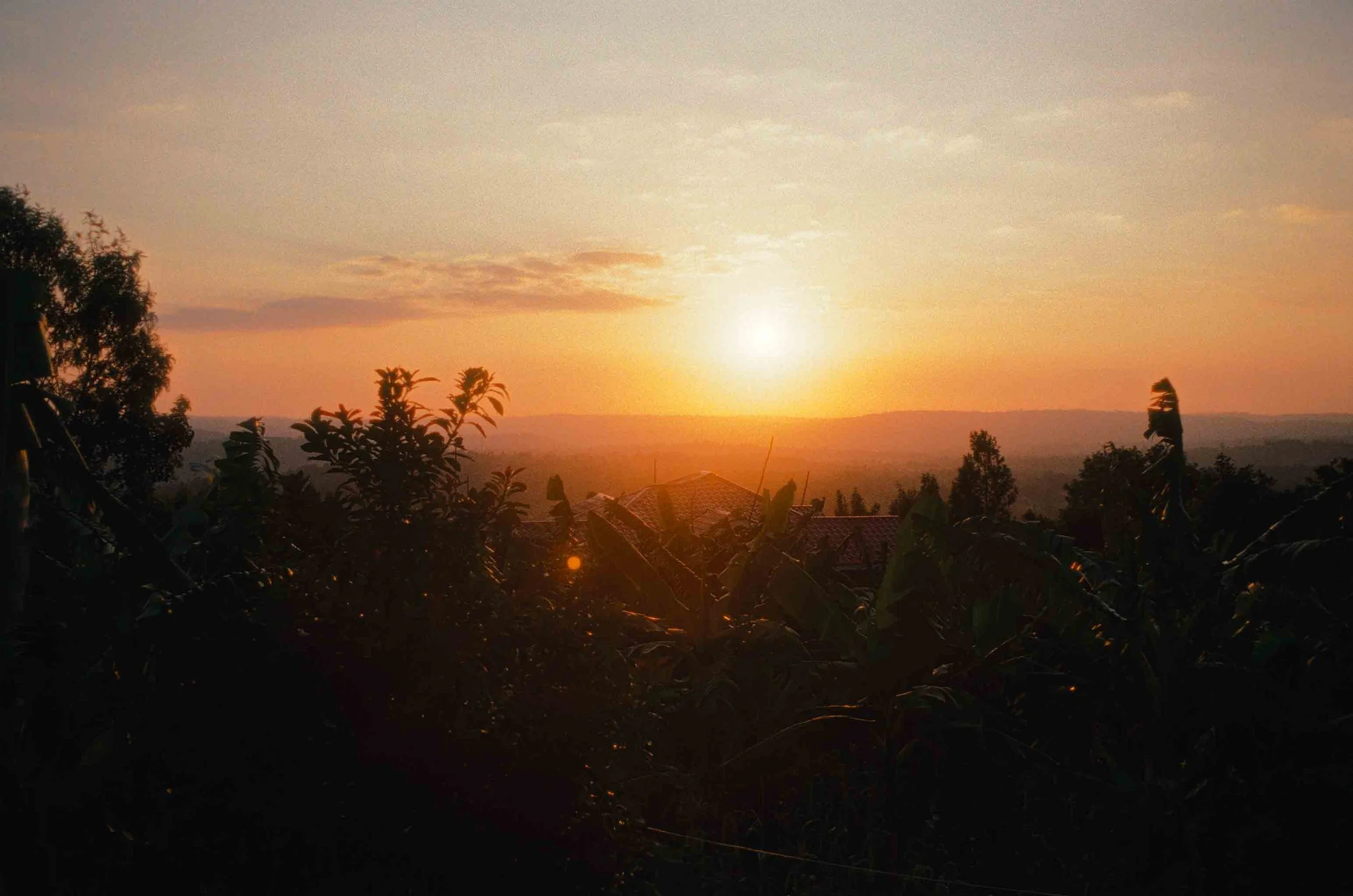 Kisii landscape 2023