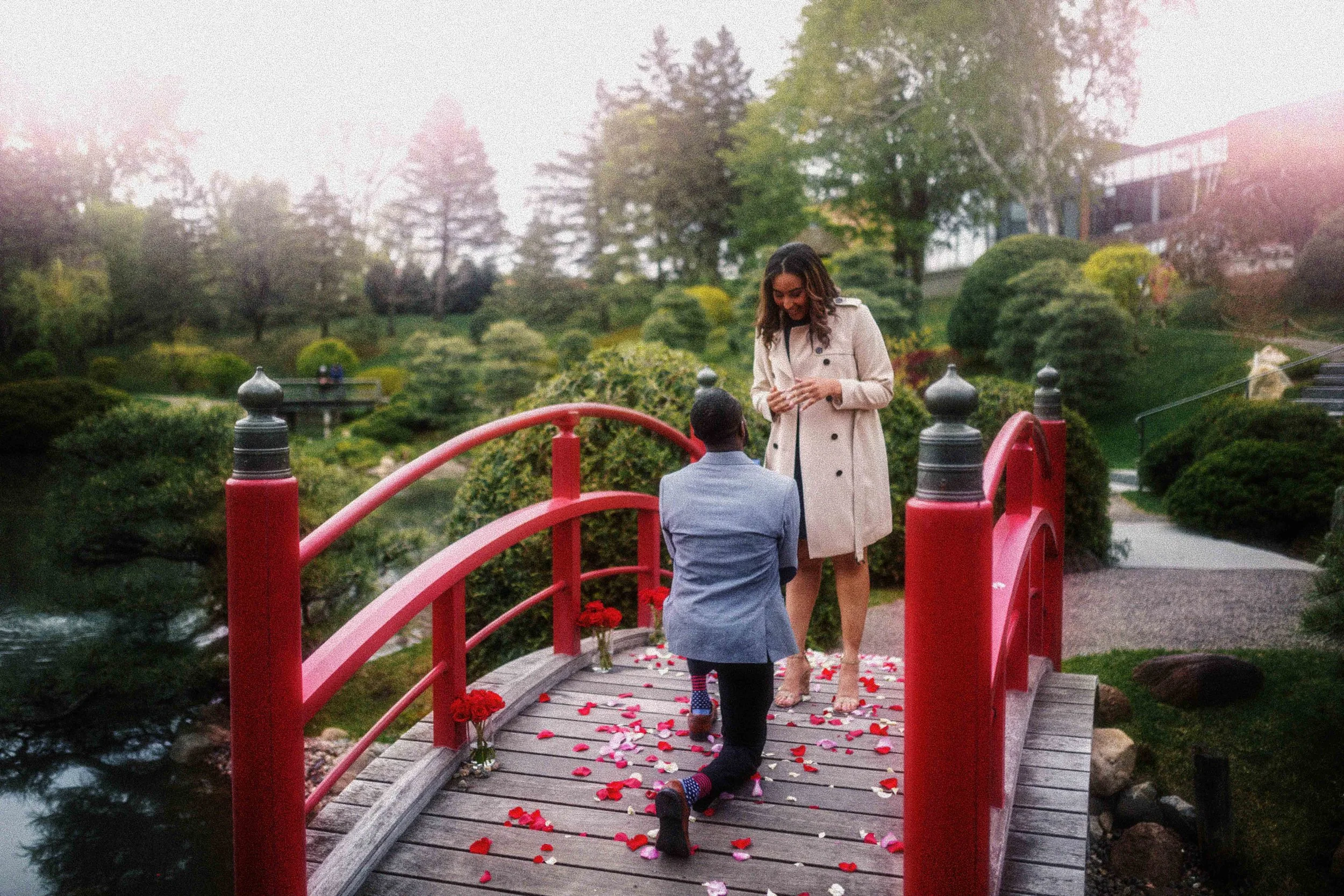 Man kneeling on a small wooden bridge covered in rose petals, proposing to a woman who stands with her hands clasped in a garden with lush greenery and trees.