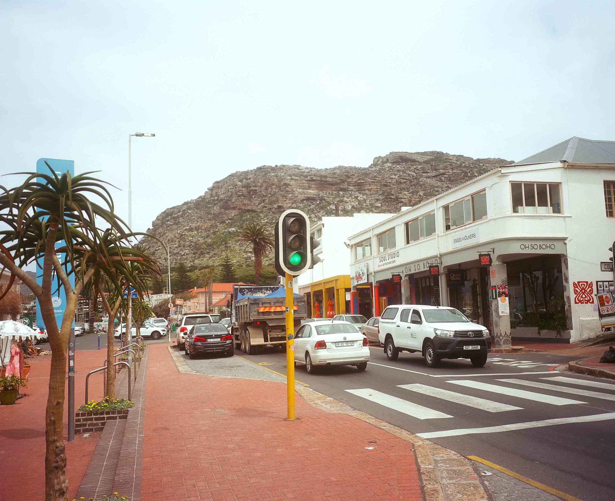 Boulders Beach penguins 2024